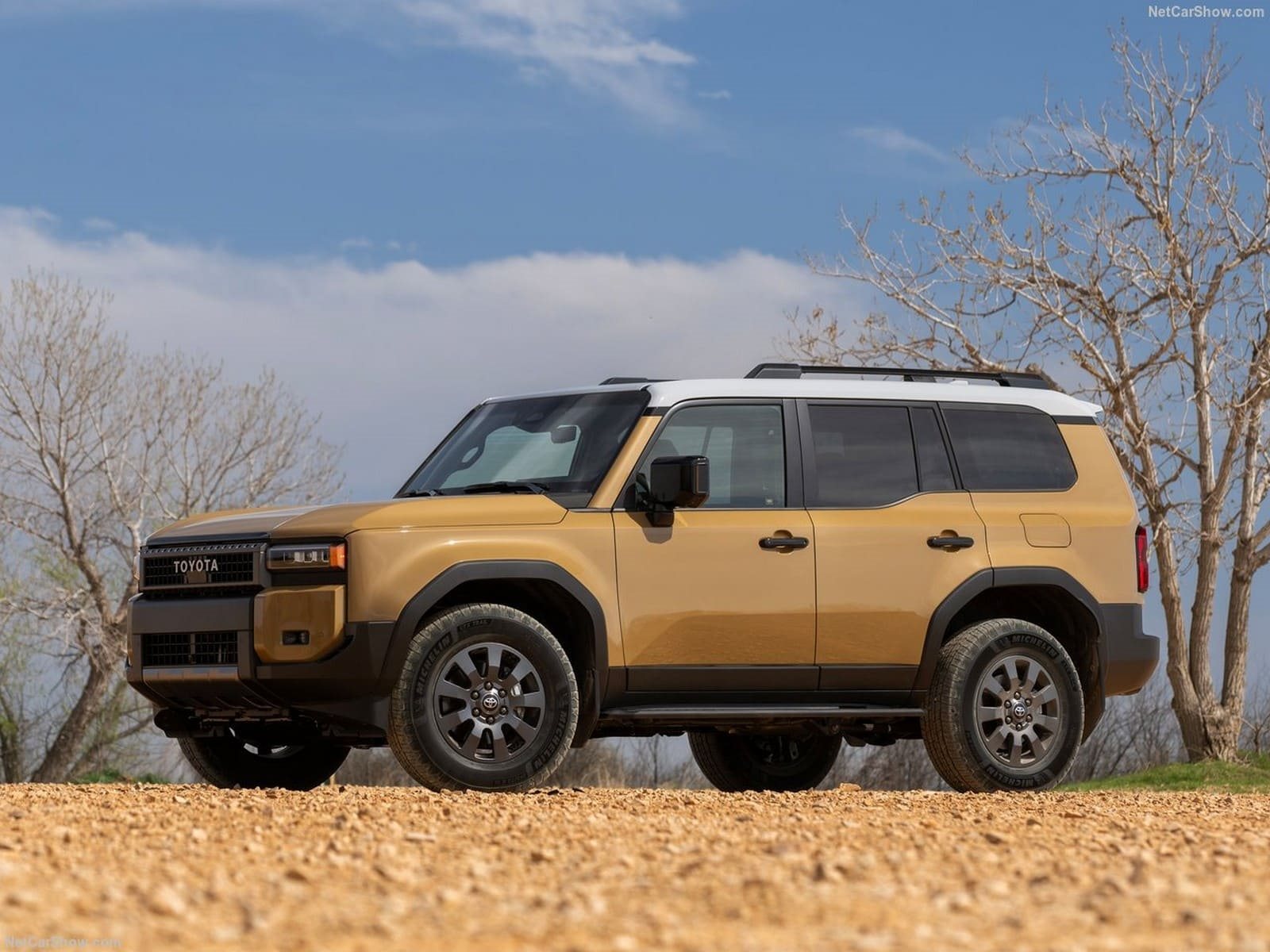 2024 - TOYOTA LAND CRUISER US VERSION, foto 15