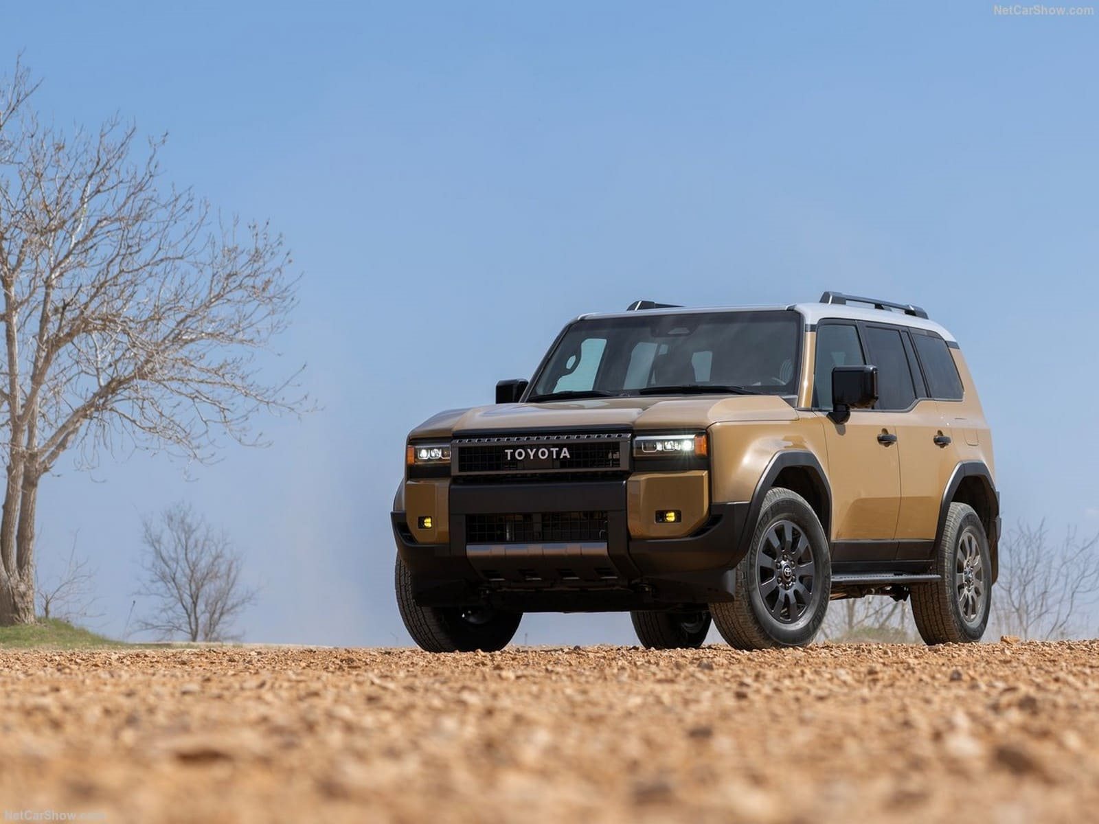 2024 - TOYOTA LAND CRUISER US VERSION, foto 16