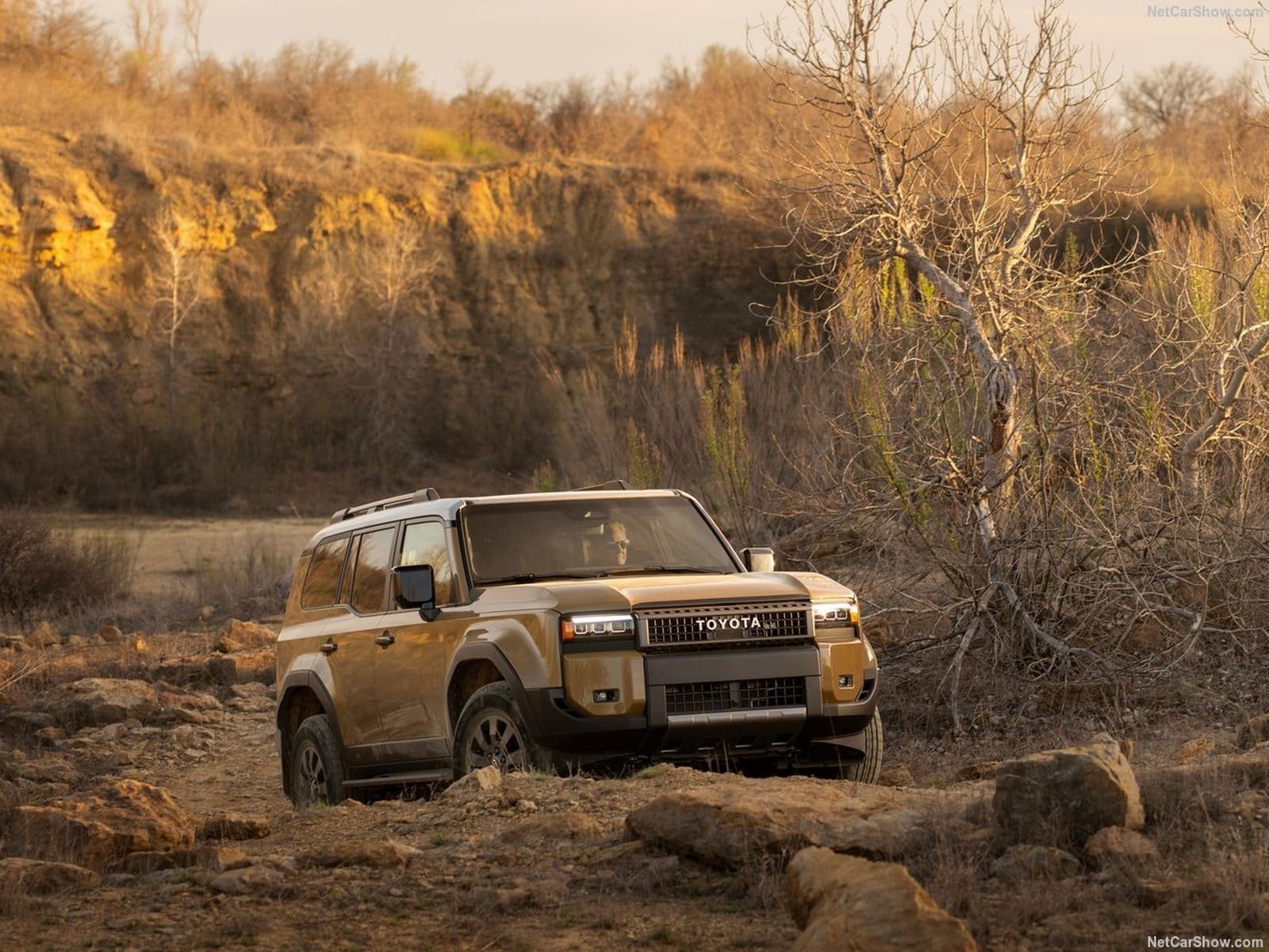 2024 - TOYOTA LAND CRUISER US VERSION, foto 29