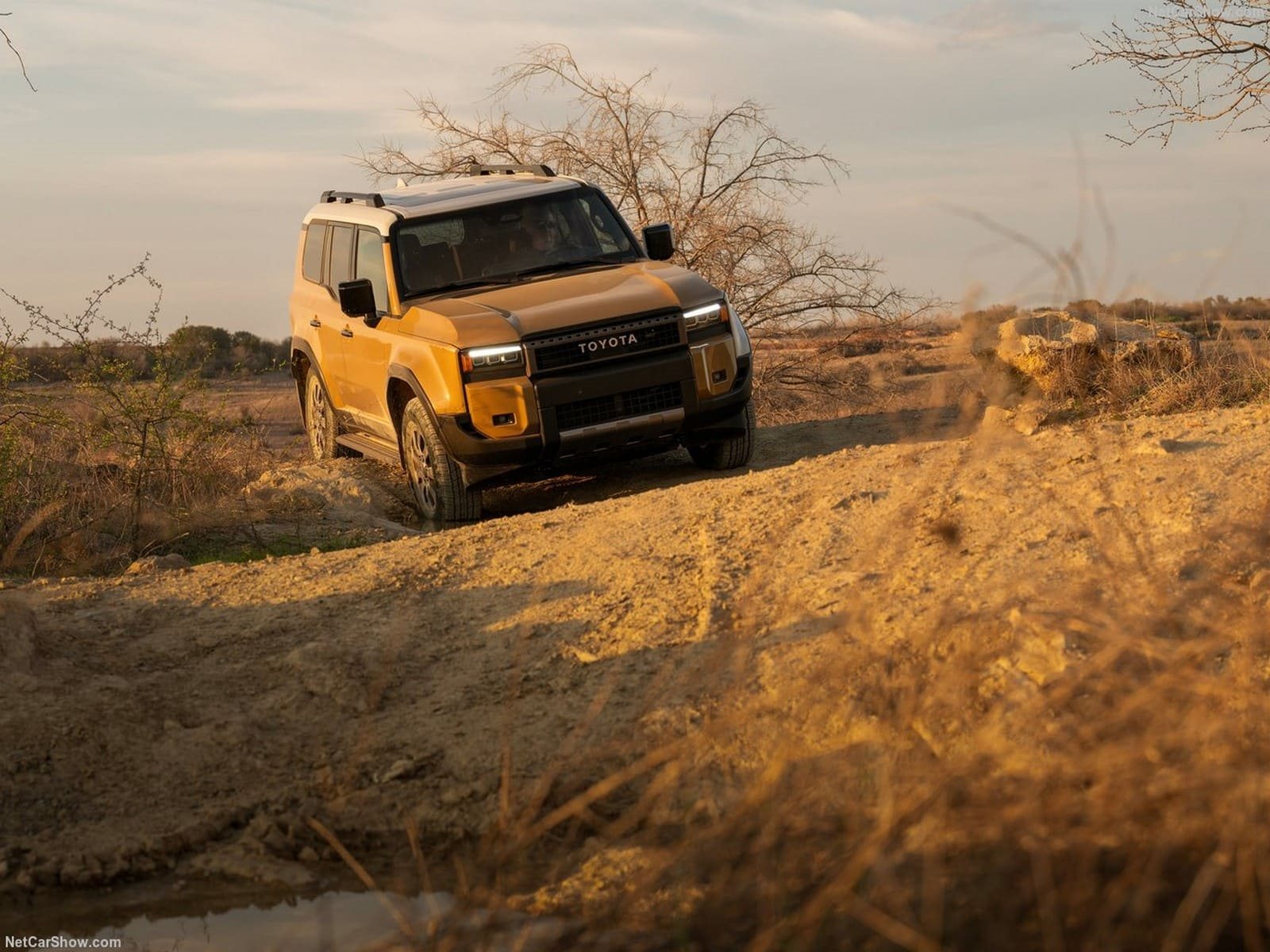 2024 - TOYOTA LAND CRUISER US VERSION, foto 31
