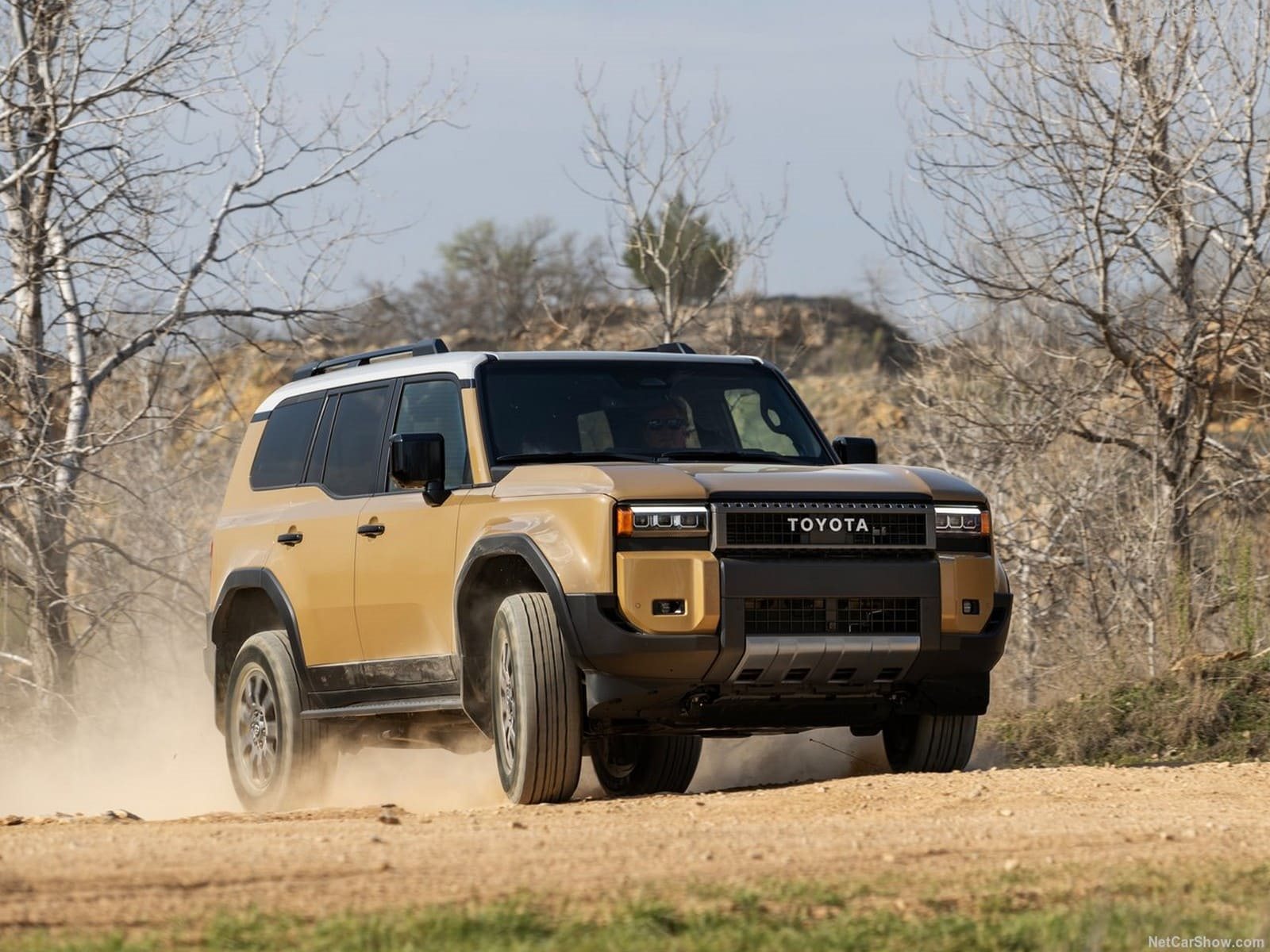 2024 - TOYOTA LAND CRUISER US VERSION, foto 36