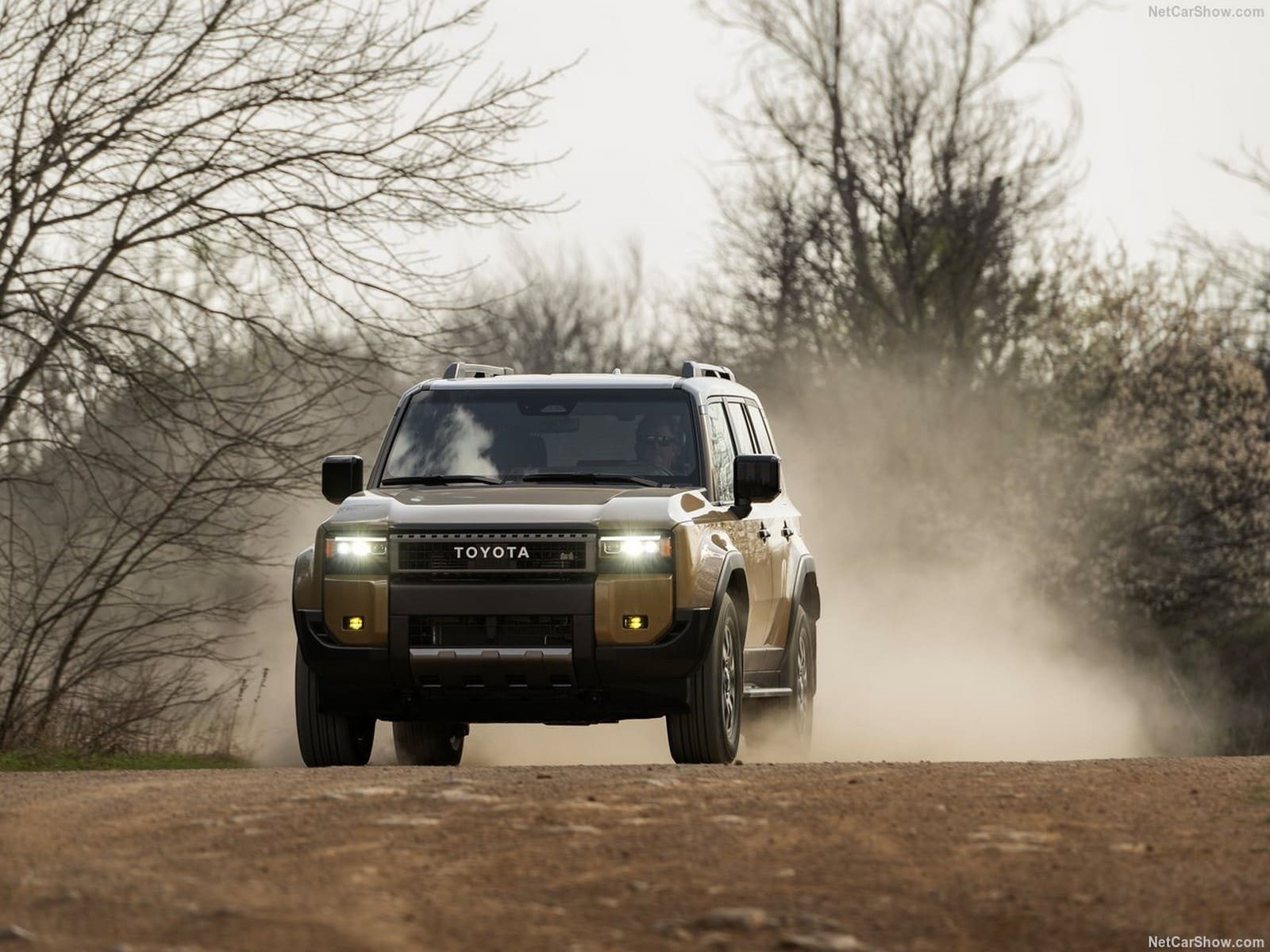 2024 - TOYOTA LAND CRUISER US VERSION, foto 50