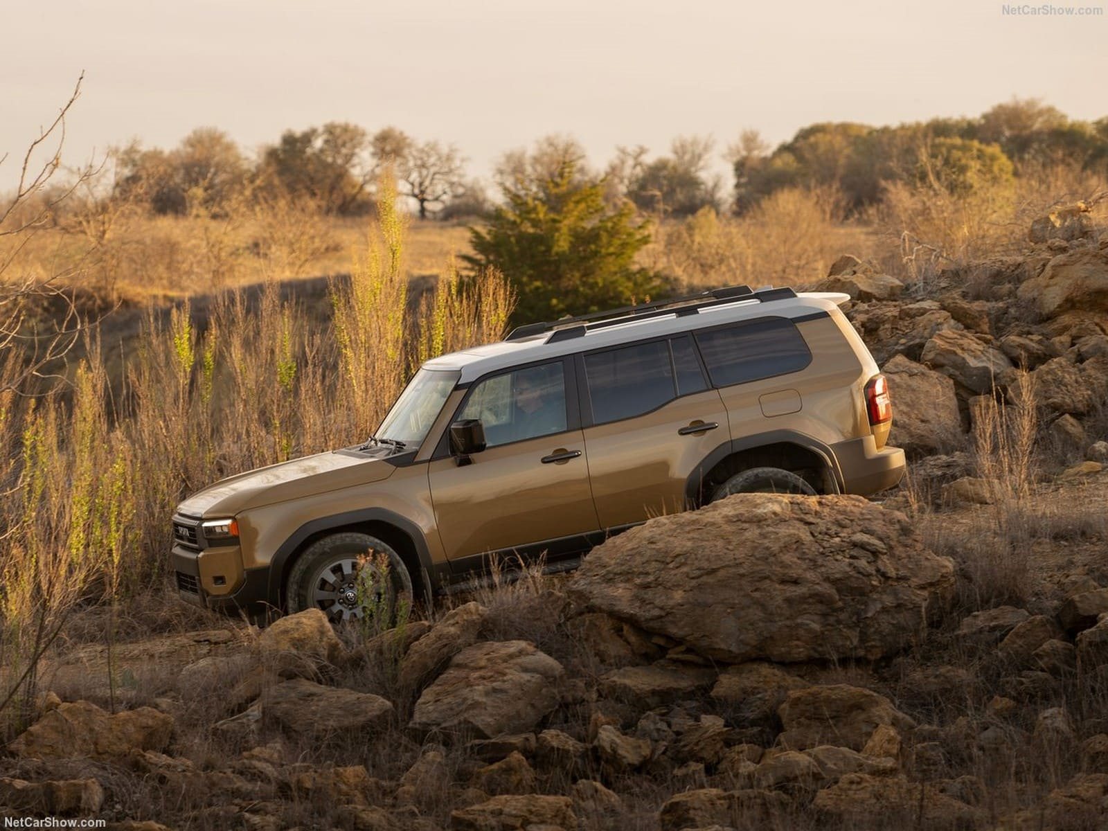2024 - TOYOTA LAND CRUISER US VERSION, foto 80