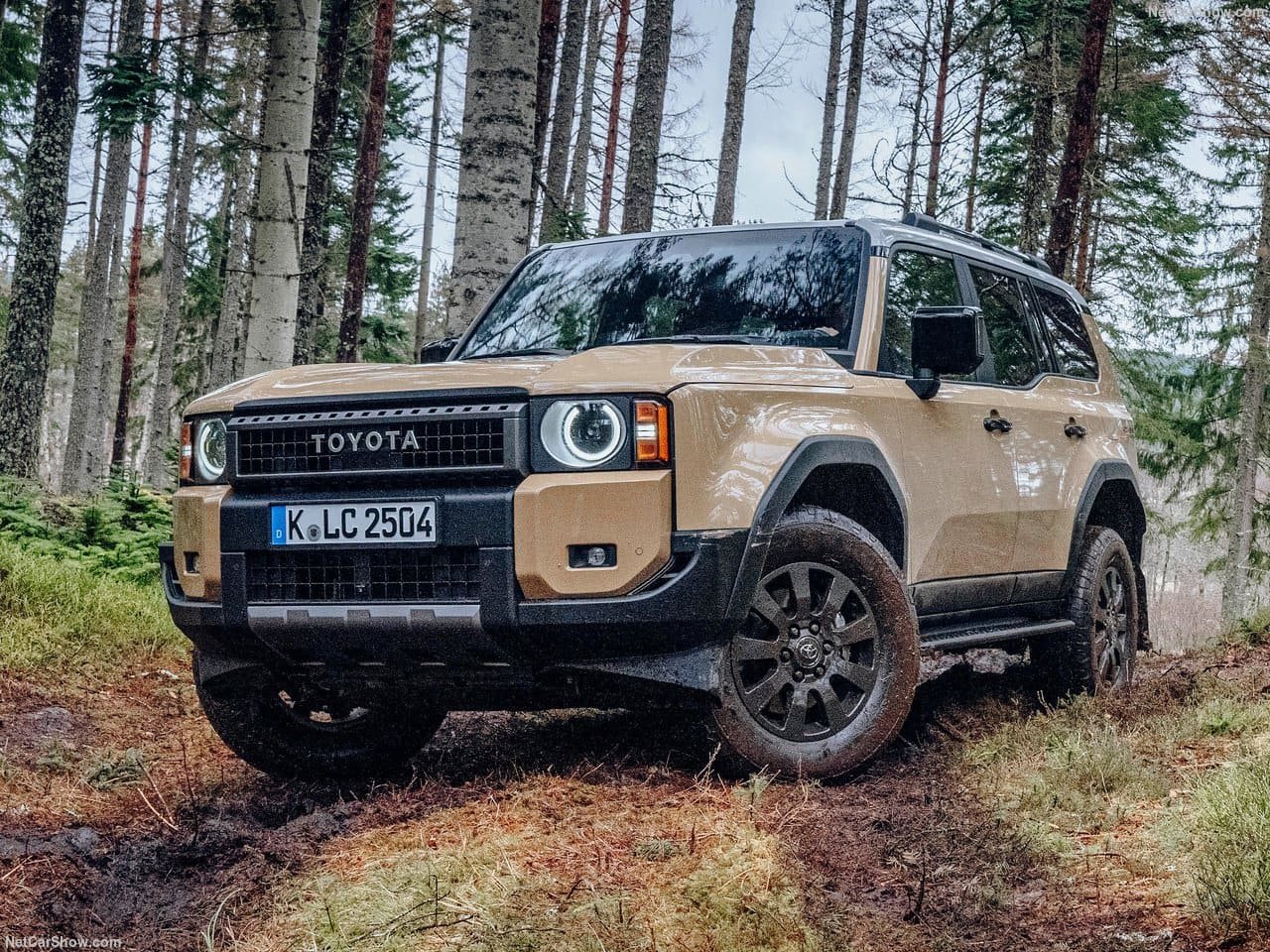 2025 - TOYOTA LAND CRUISER 250, foto 3