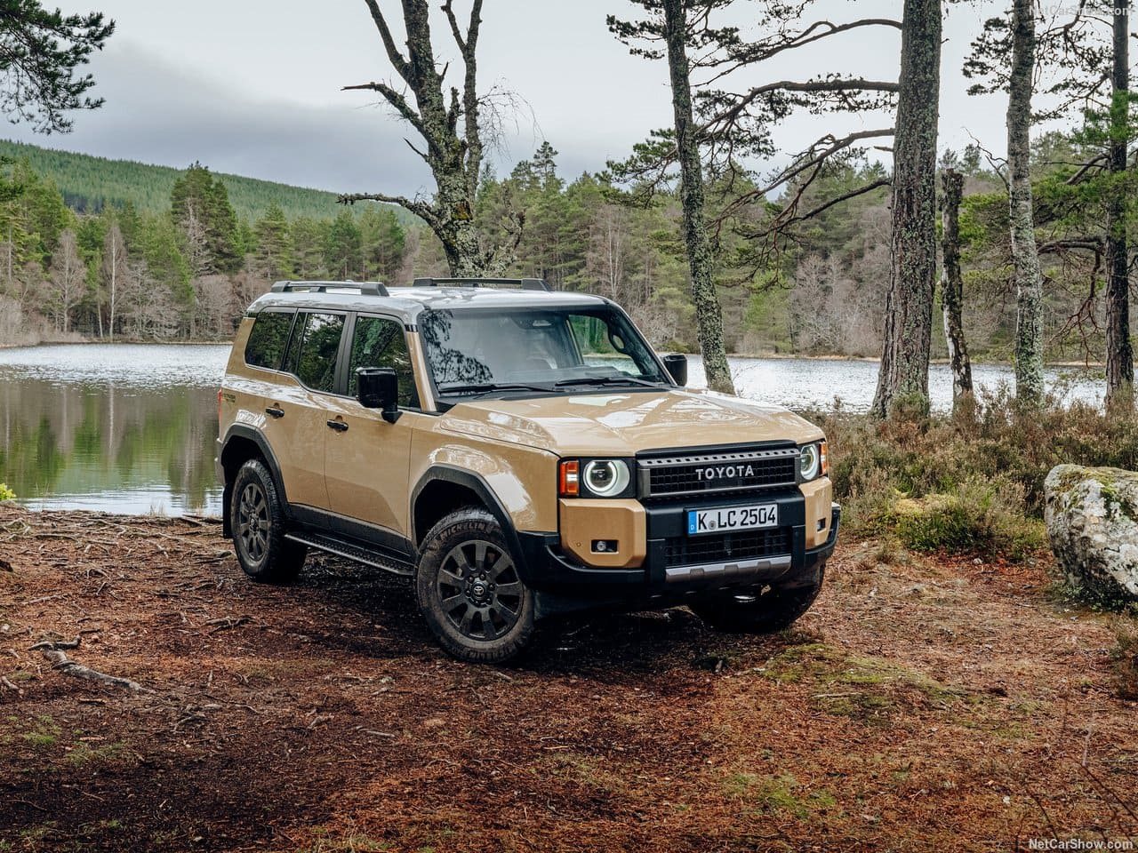 2025 - TOYOTA LAND CRUISER 250, foto 19