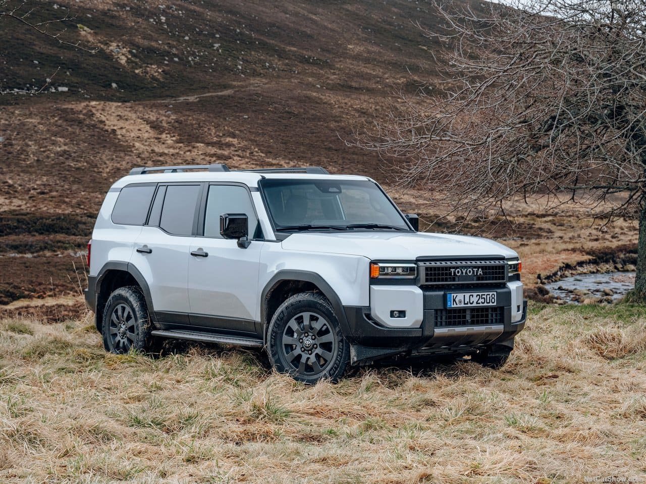 2025 - TOYOTA LAND CRUISER 250, foto 21