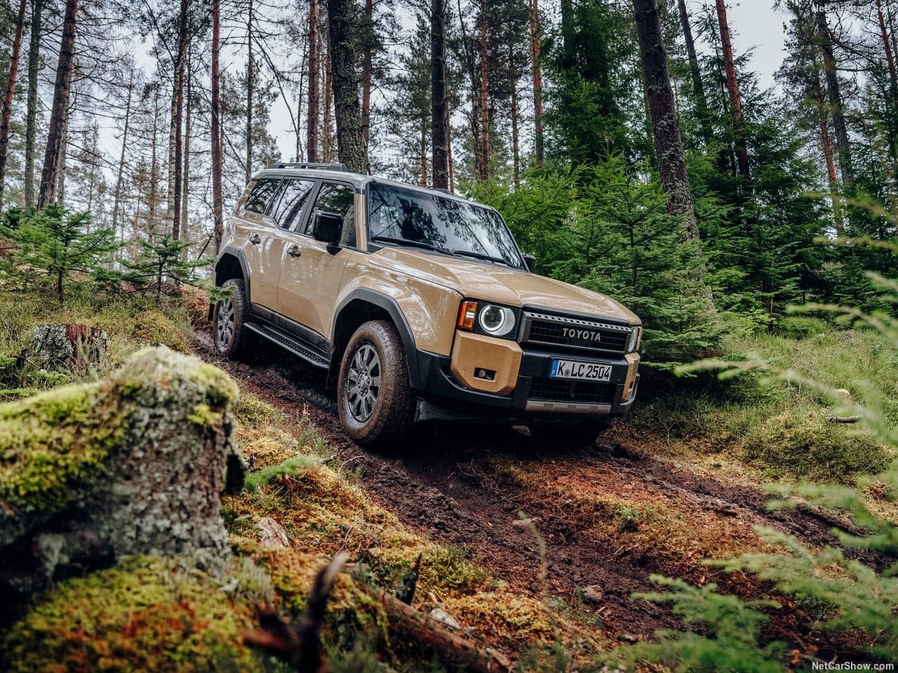 2025 - TOYOTA LAND CRUISER 250, foto 54