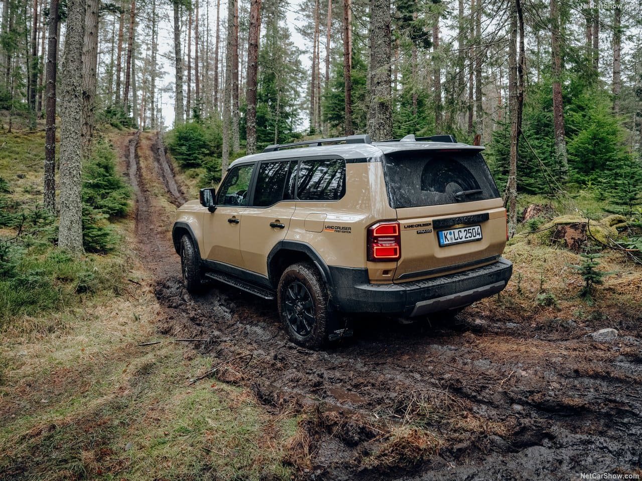 2025 - TOYOTA LAND CRUISER 250, foto 103