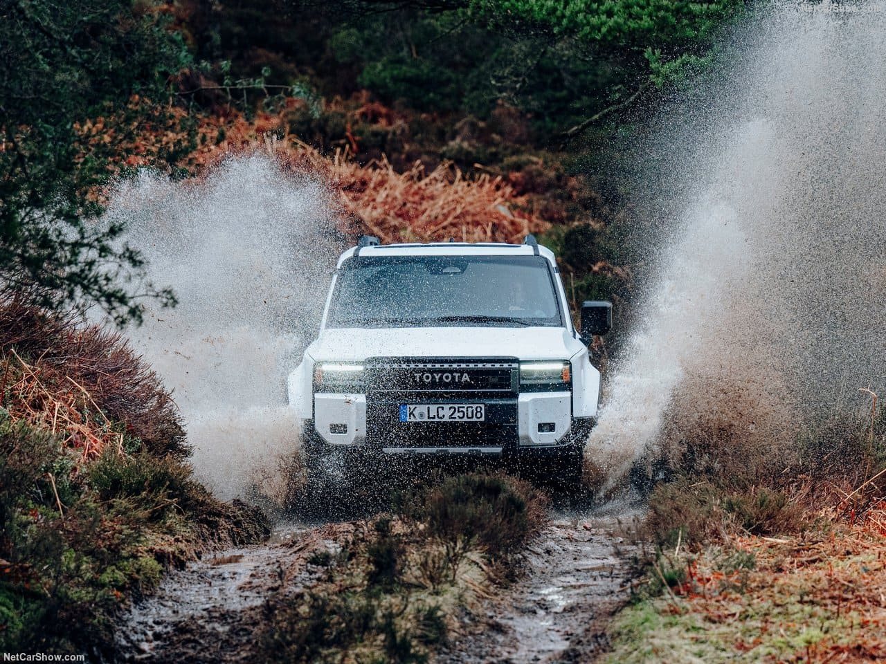 2025 - TOYOTA LAND CRUISER 250, foto 127