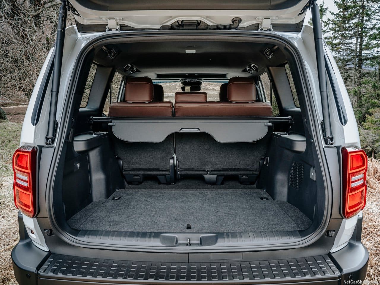 2025 - TOYOTA LAND CRUISER 250, foto 175