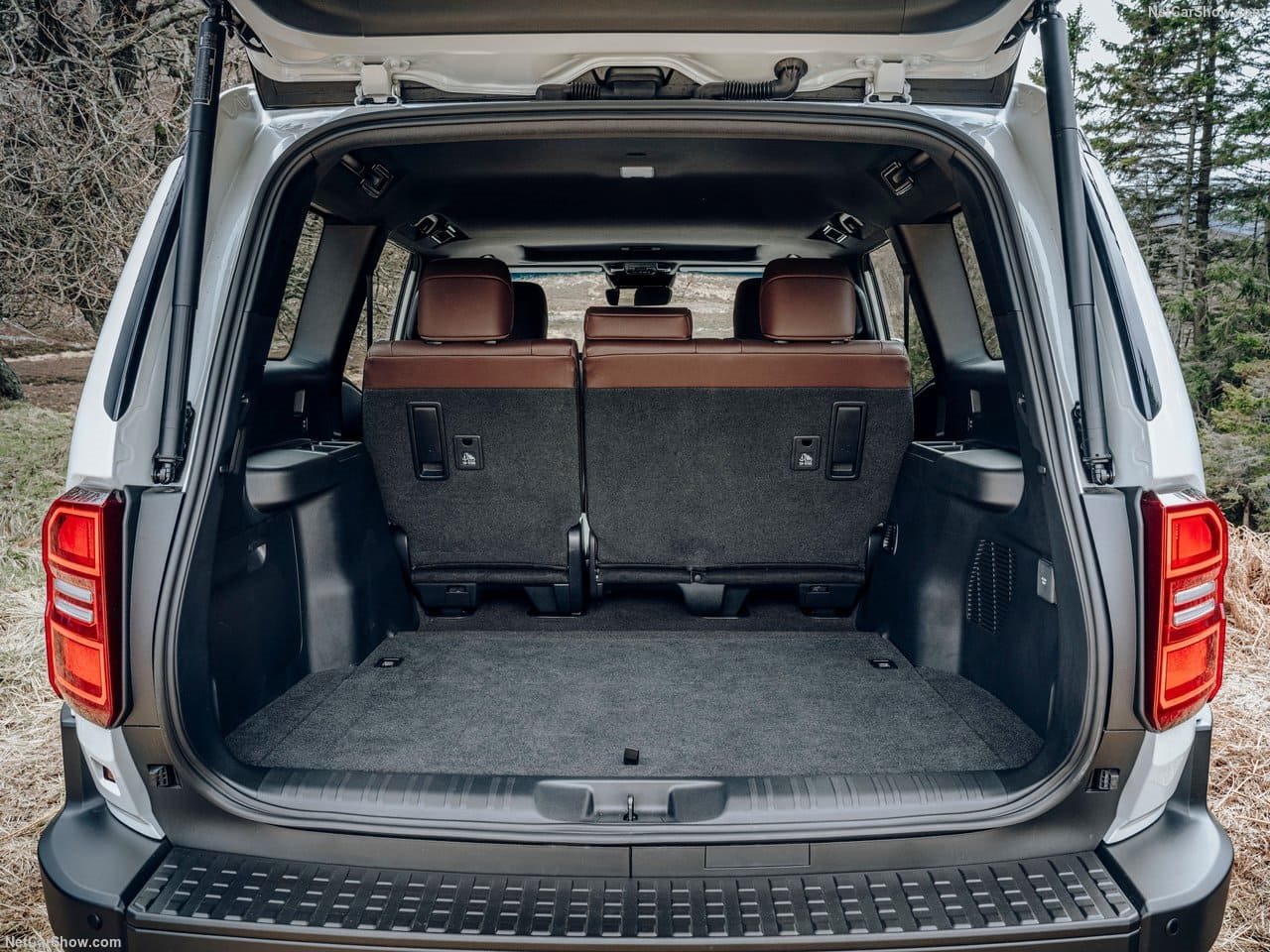 2025 - TOYOTA LAND CRUISER 250, foto 176