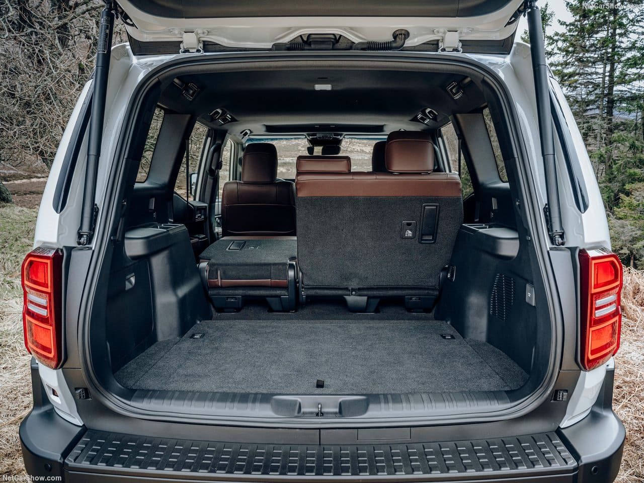 2025 - TOYOTA LAND CRUISER 250, foto 177