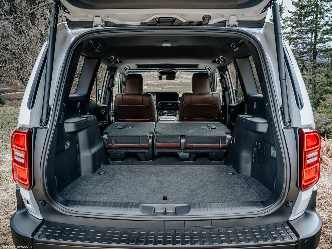 2025 - TOYOTA LAND CRUISER 250, foto 181
