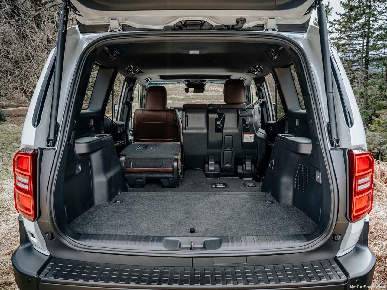 2025 - TOYOTA LAND CRUISER 250, foto 182