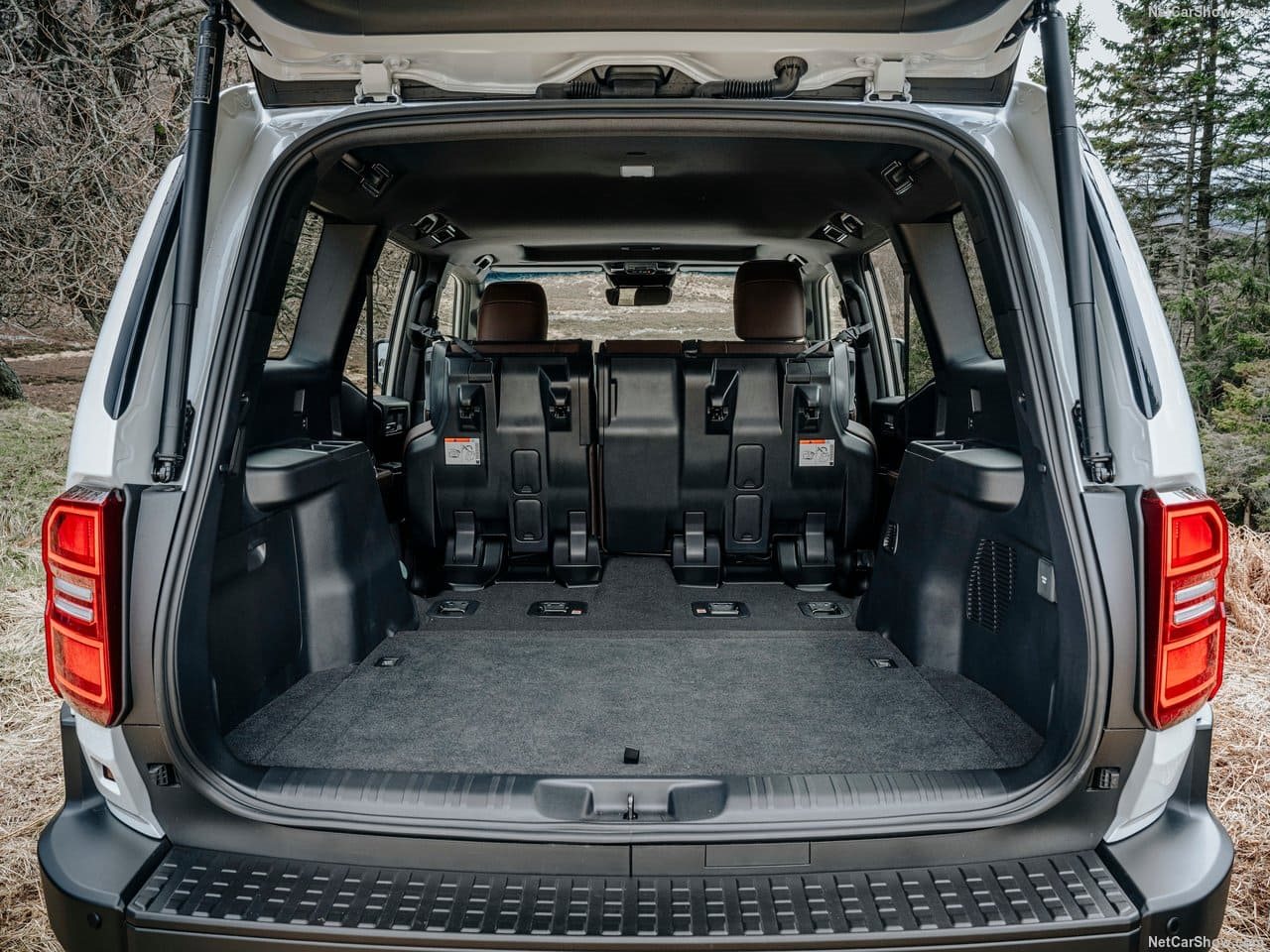 2025 - TOYOTA LAND CRUISER 250, foto 183