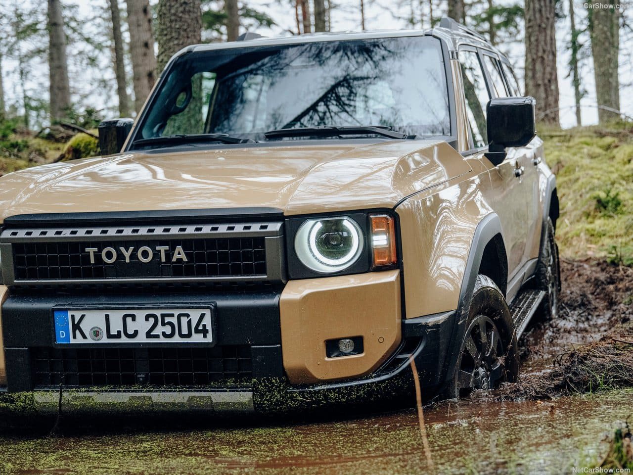 2025 - TOYOTA LAND CRUISER 250, foto 189