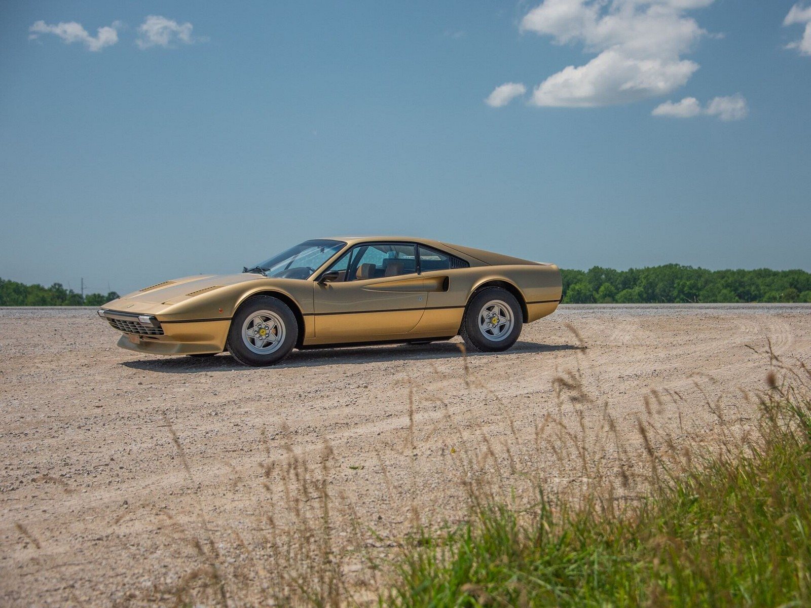 FERRARI F308 GTB VETRORESINA ORO CHIARO, foto 6