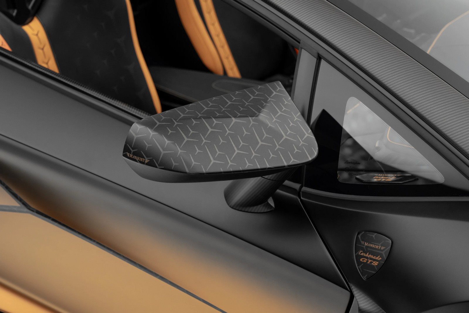 LAMBORGHINI AVENTADOR SVJ ROADSTER CARBONADO GTS BY MANSORY, foto 20