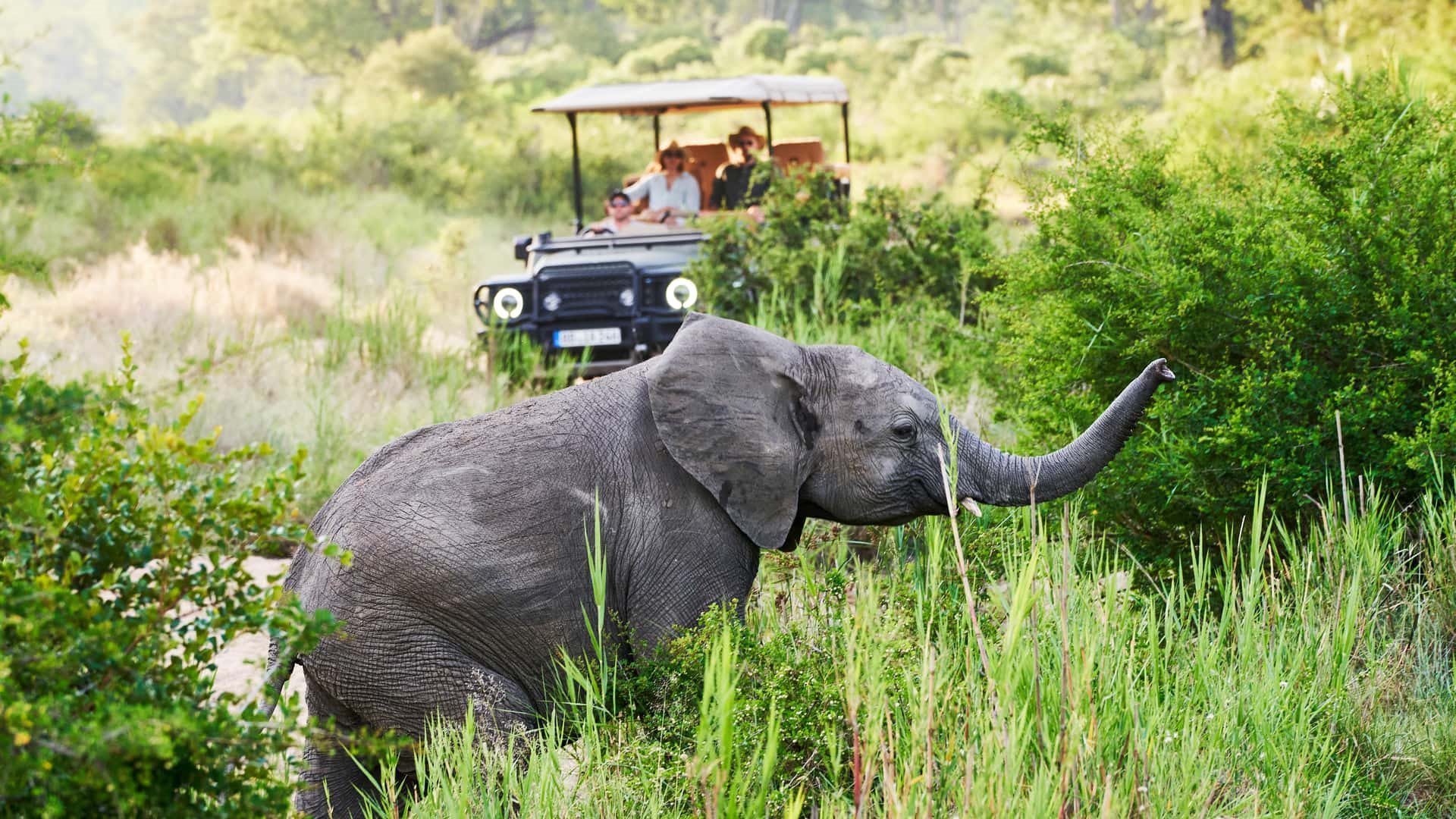 2023 - INEOS GRENADIER SAFARI, foto 2