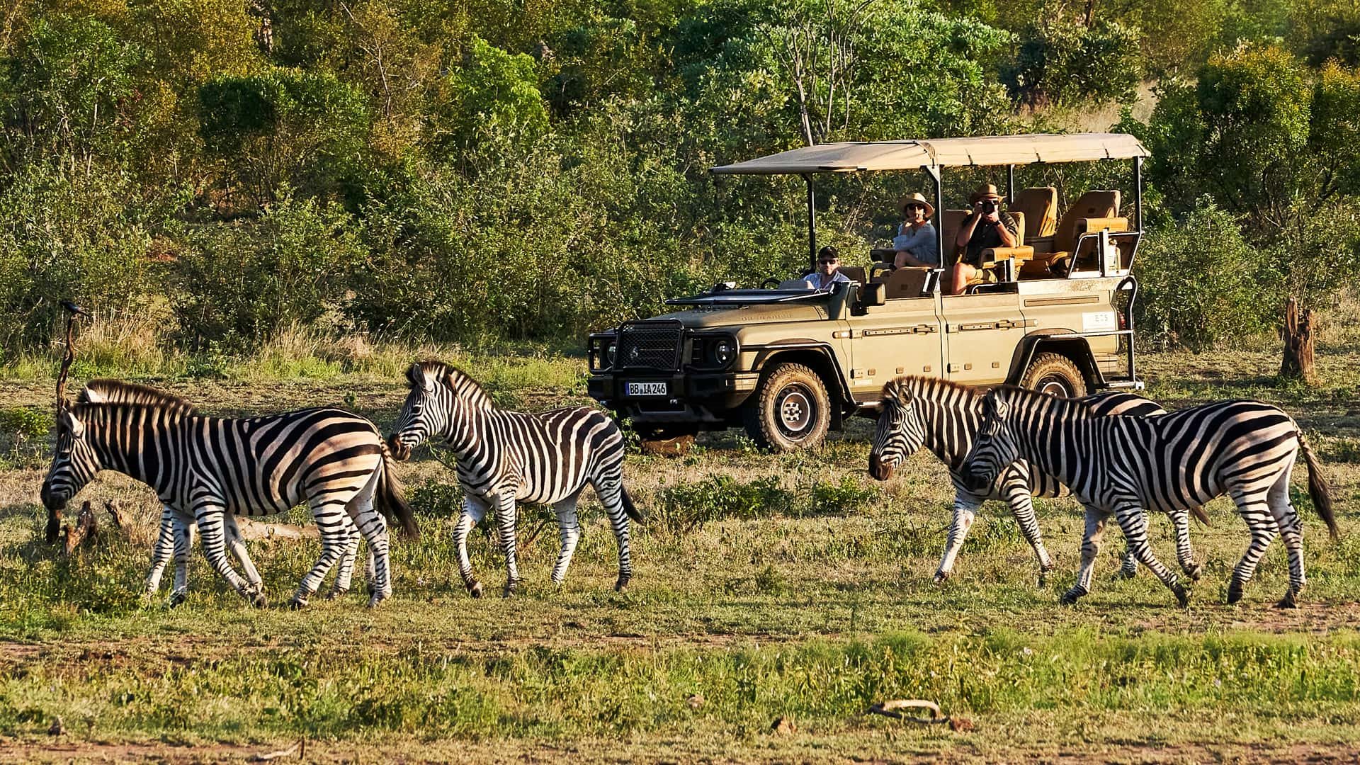 2023 - INEOS GRENADIER SAFARI, foto 3