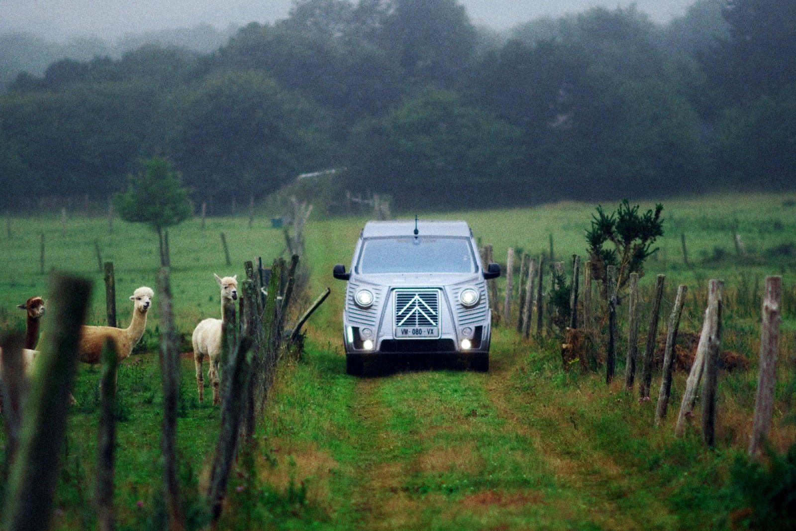 2024 - CITROËN TYPE HOLIDAYS, foto 12