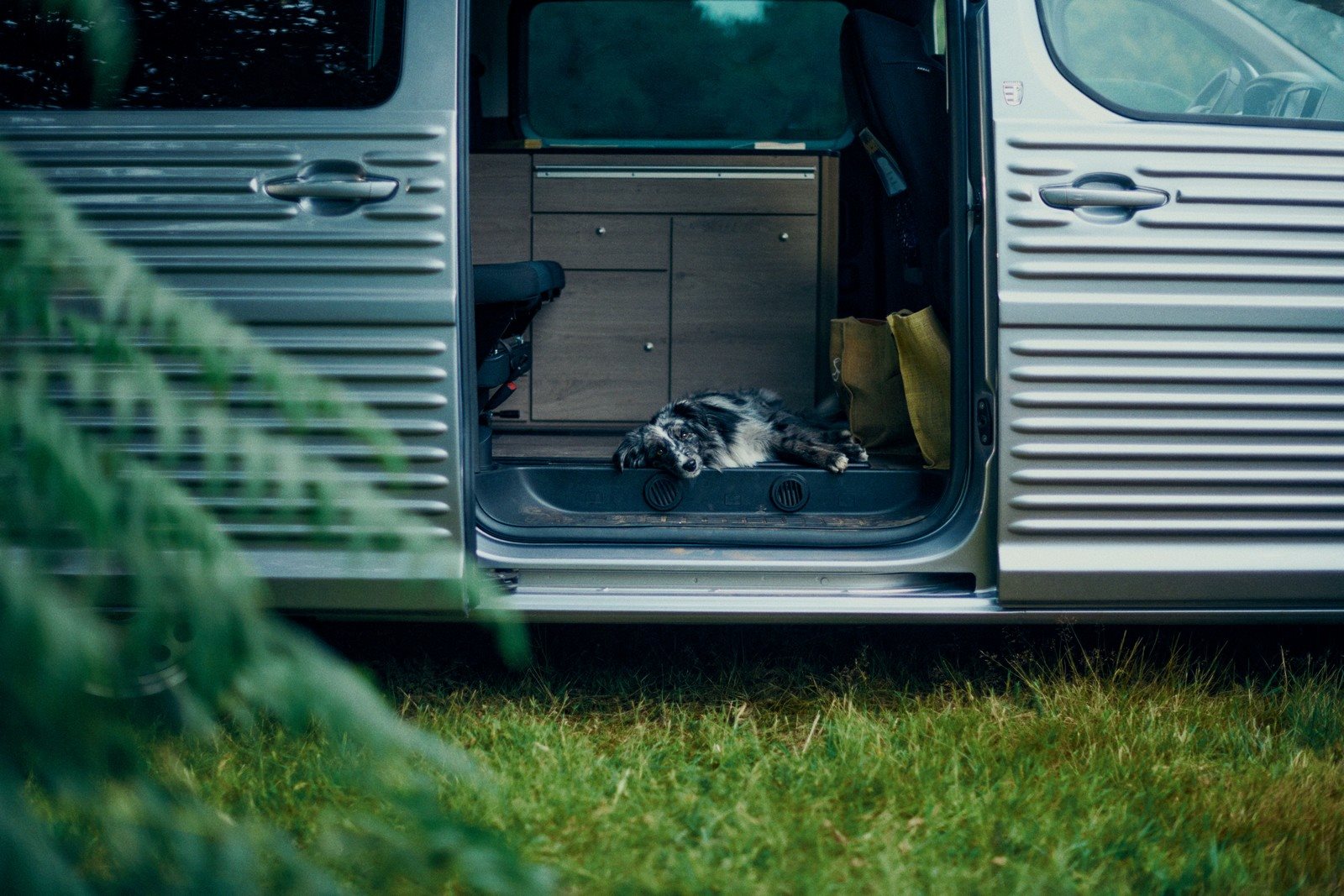 2024 - CITROËN TYPE HOLIDAYS, foto 17