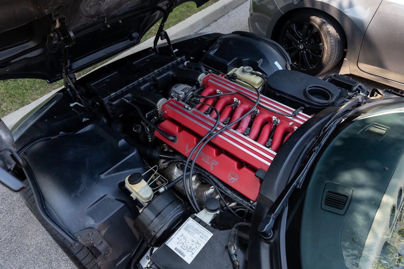 1995 - DODGE VIPER RT/10 EX CHRIS FARLEY, foto 166