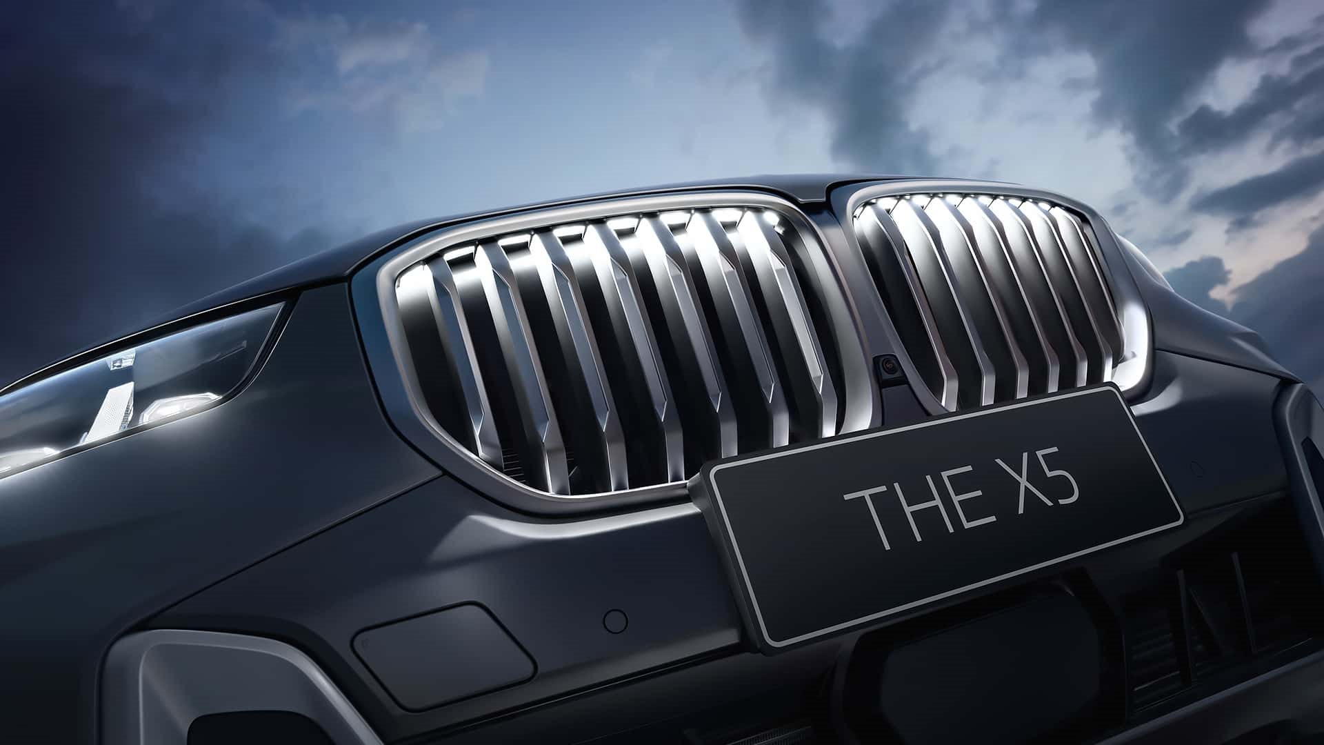 BMW X5 Li, foto 8