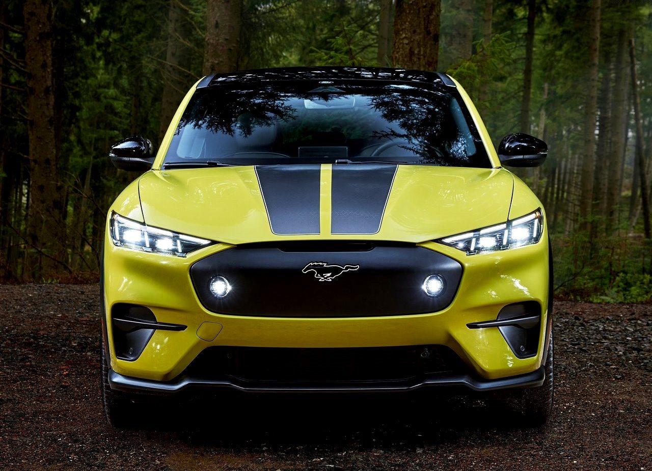 FORD MUSTANG MACH-E RALLY, foto 14