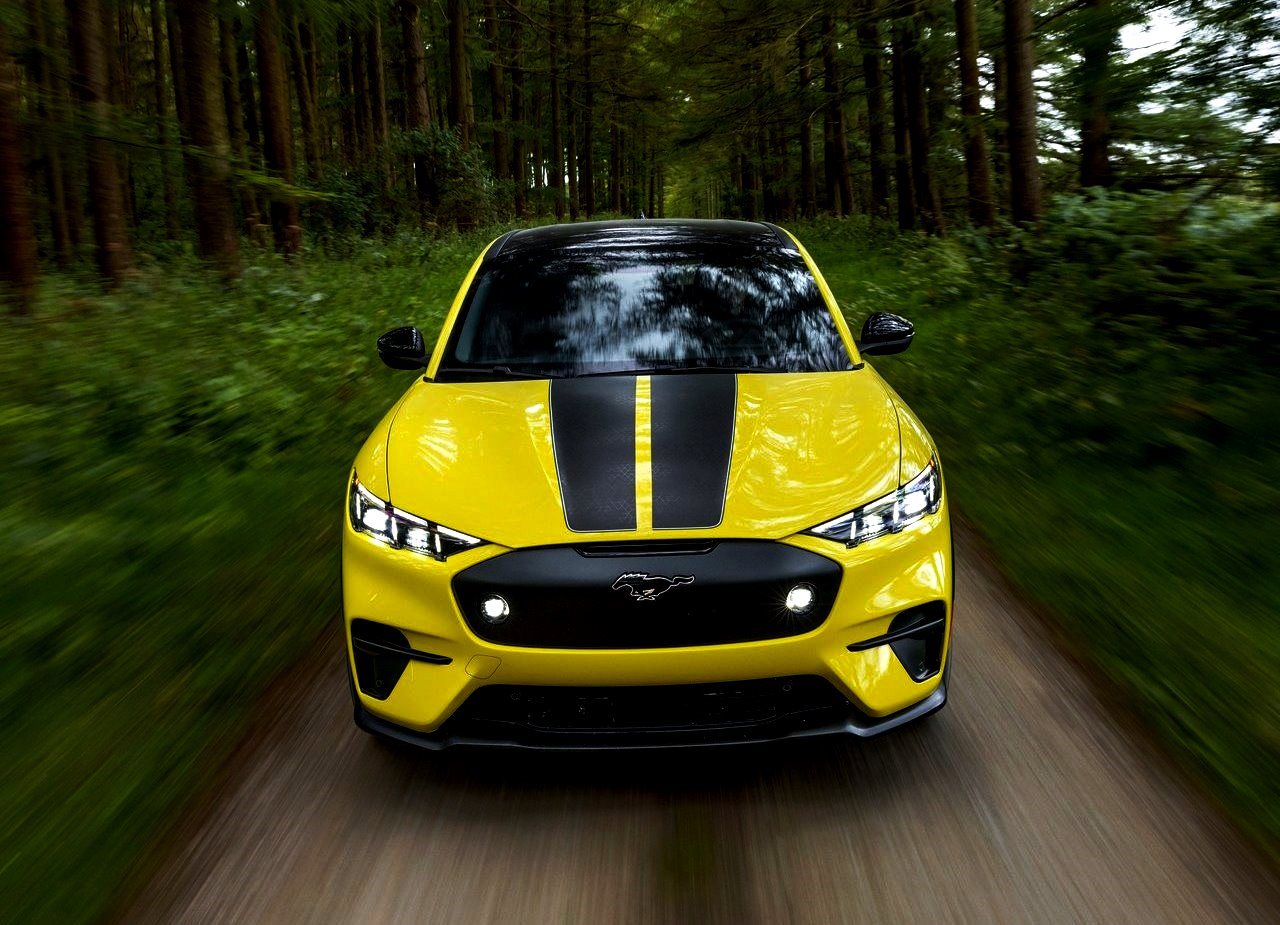 FORD MUSTANG MACH-E RALLY, foto 16