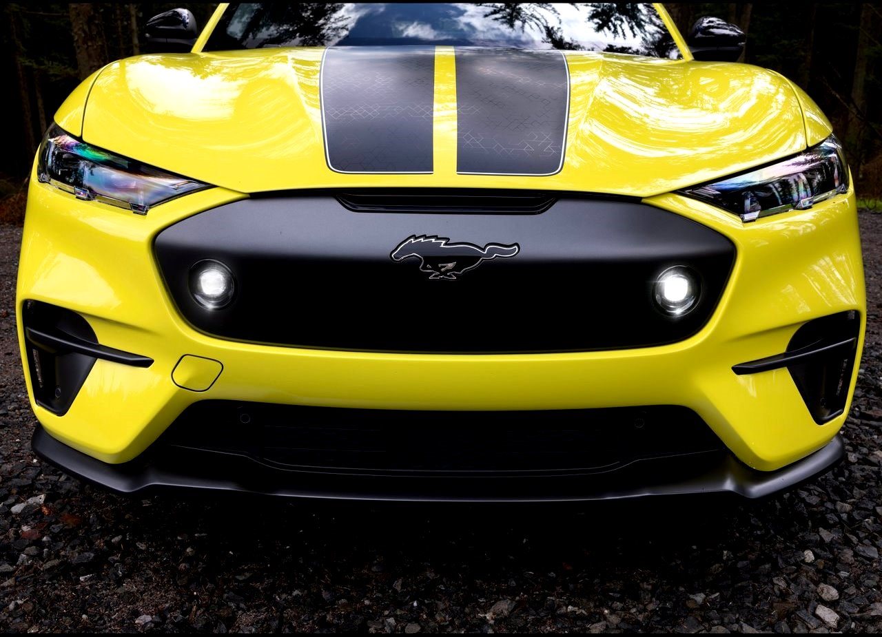 FORD MUSTANG MACH-E RALLY, foto 25
