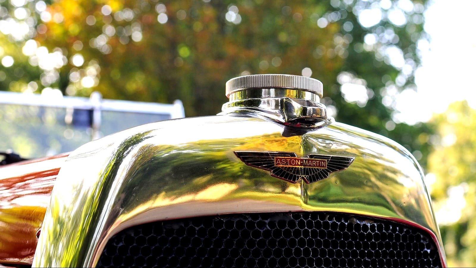 ASTON MARTIN LM1 BERTELLI DROPHEAD COUPE, foto 7