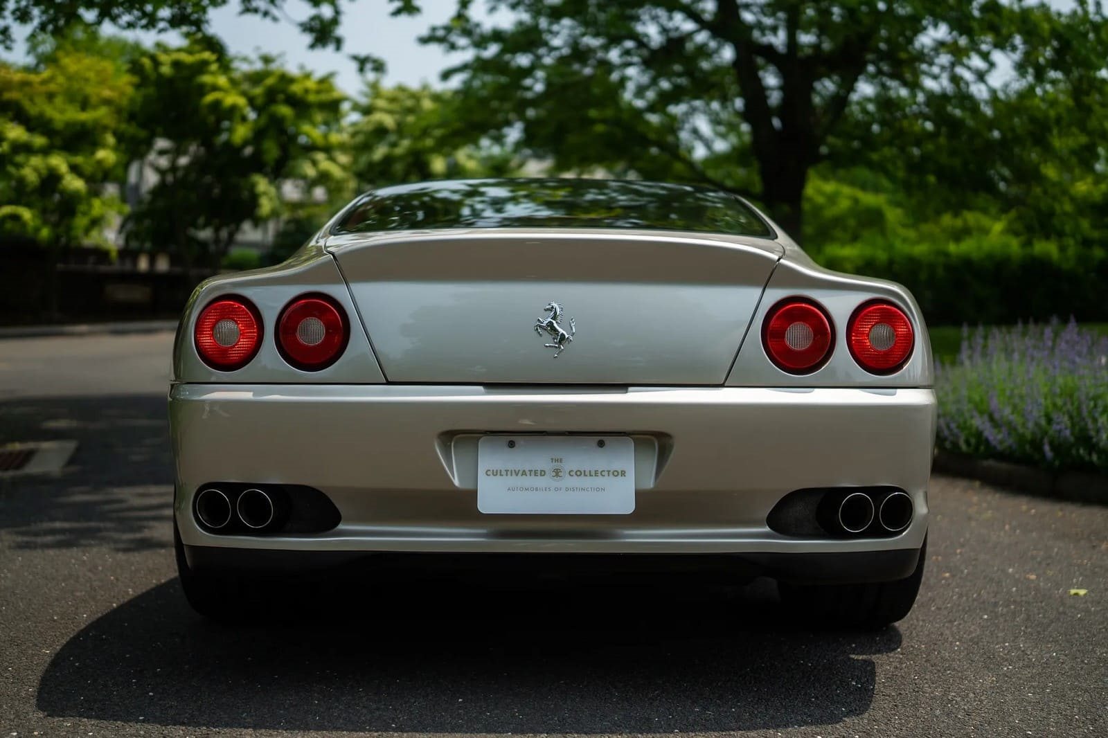 1999 - FERRARI F550 MARANELLO GRIGIO INGRID, foto 57