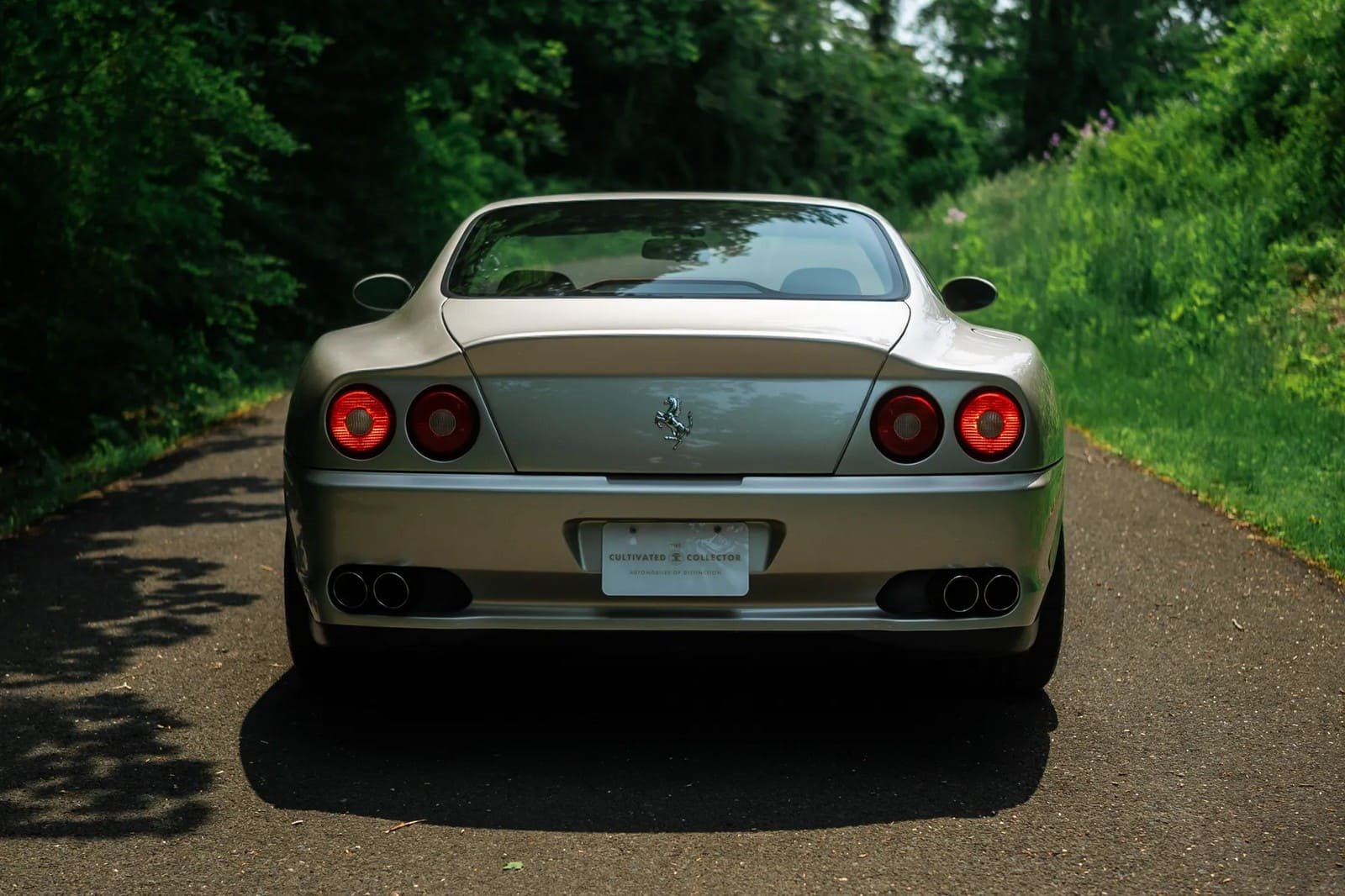 1999 - FERRARI F550 MARANELLO GRIGIO INGRID, foto 63