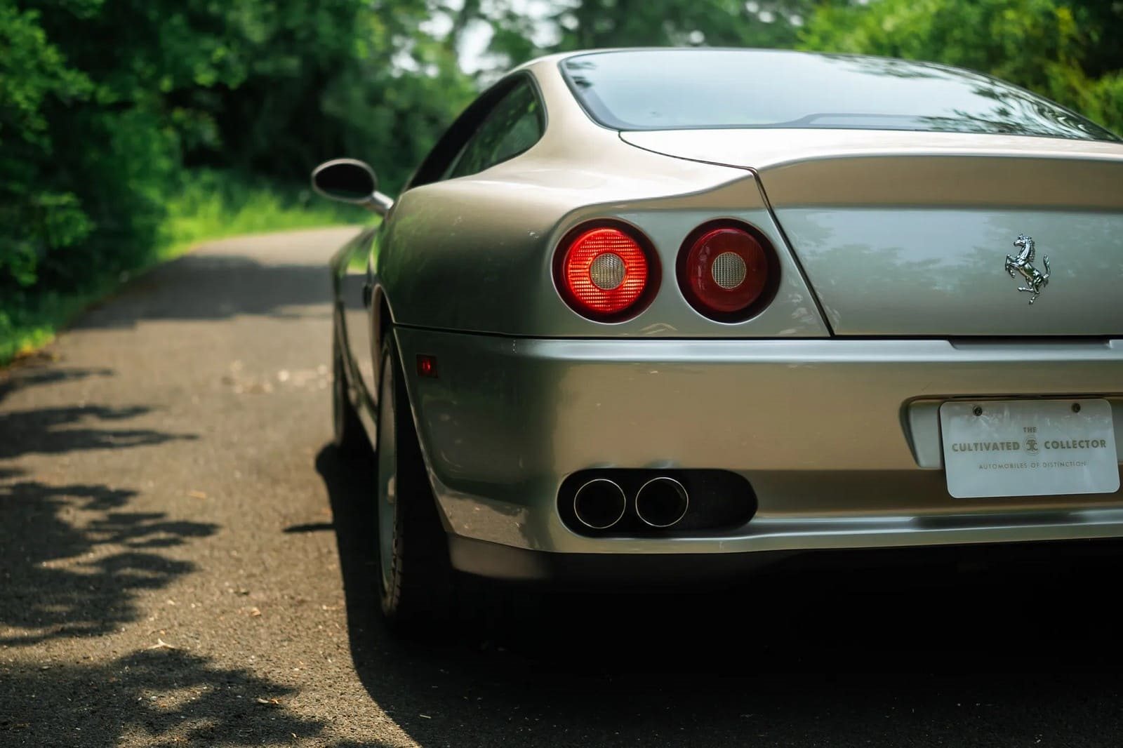 1999 - FERRARI F550 MARANELLO GRIGIO INGRID, foto 127