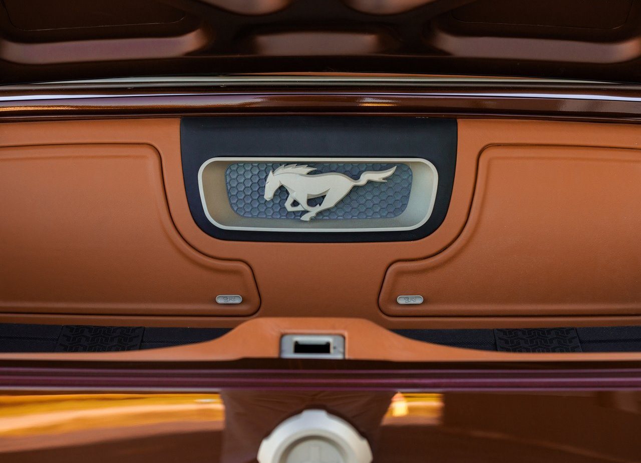 1965 - FORD MUSTANG CONVERTIBLE UNCAGED BY RINGBROTHERS, foto 104