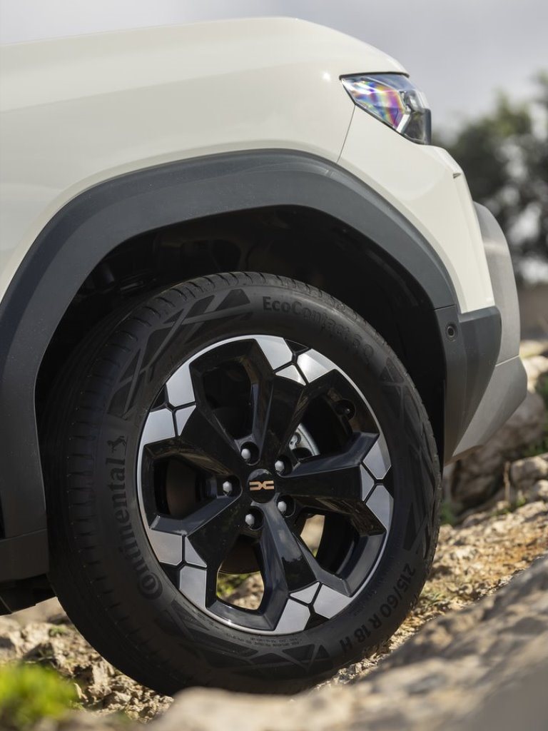 DACIA DUSTER, foto 218