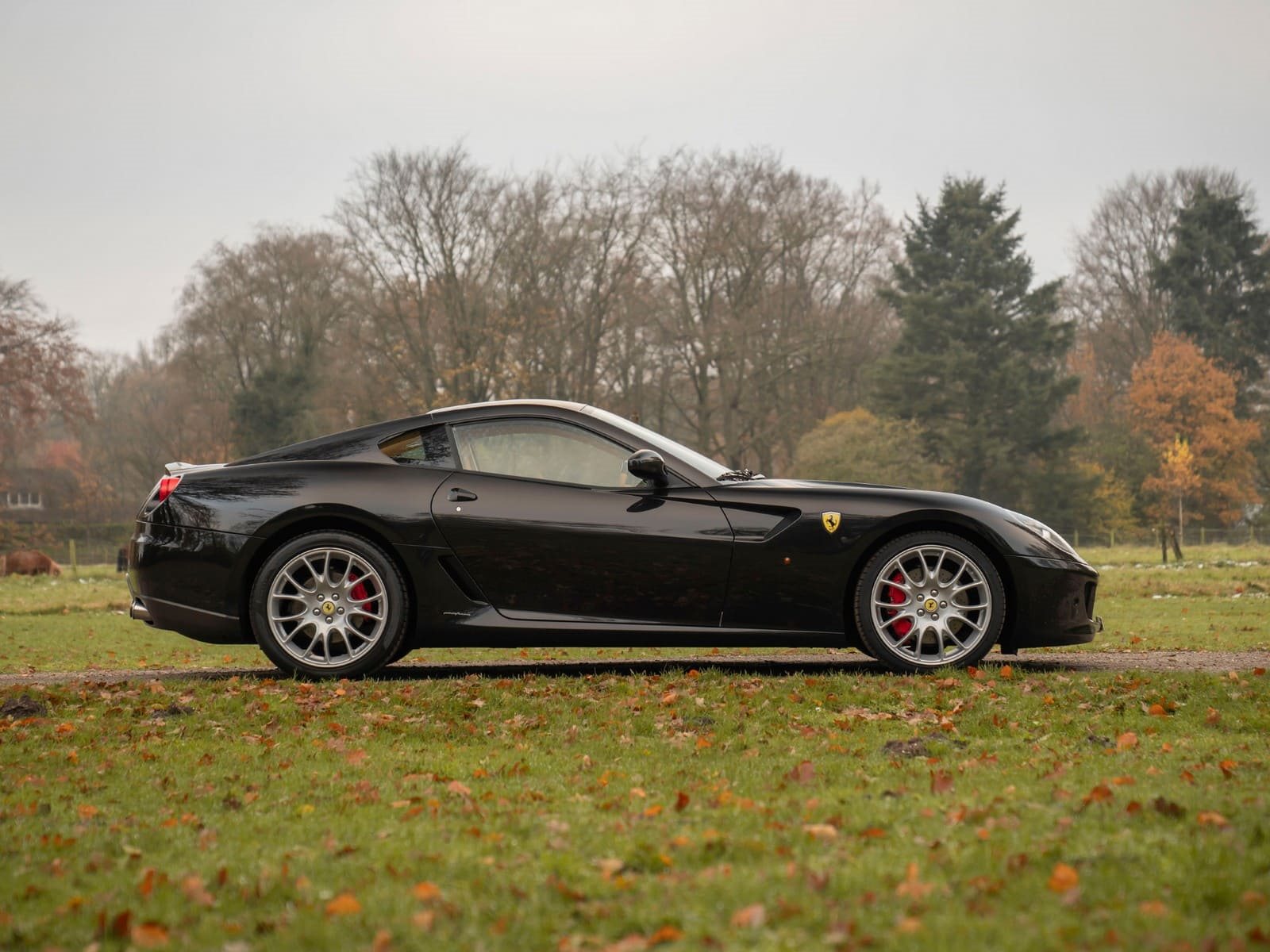 2007 - FERRARI F599 GTB FIORANO NERO DAYTONA, foto 3