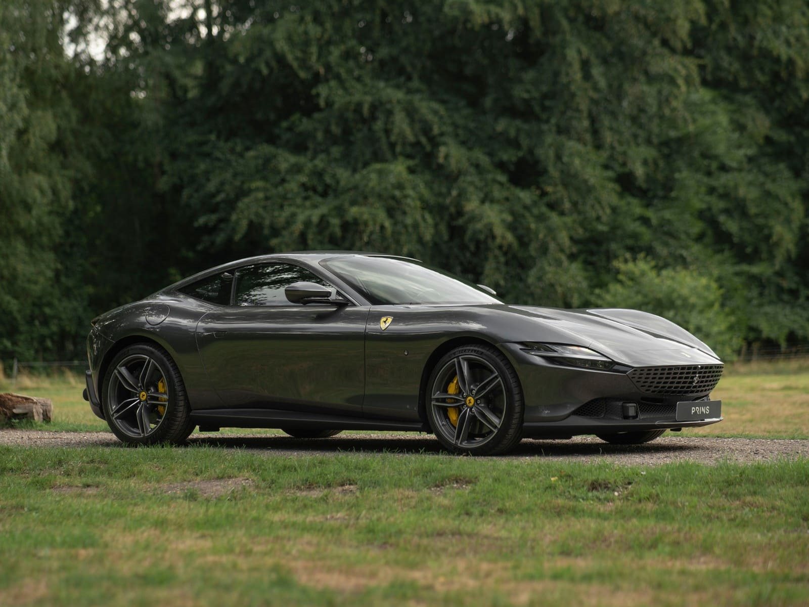 FERRARI ROMA GRIGIO SILVERSTONE, foto 1
