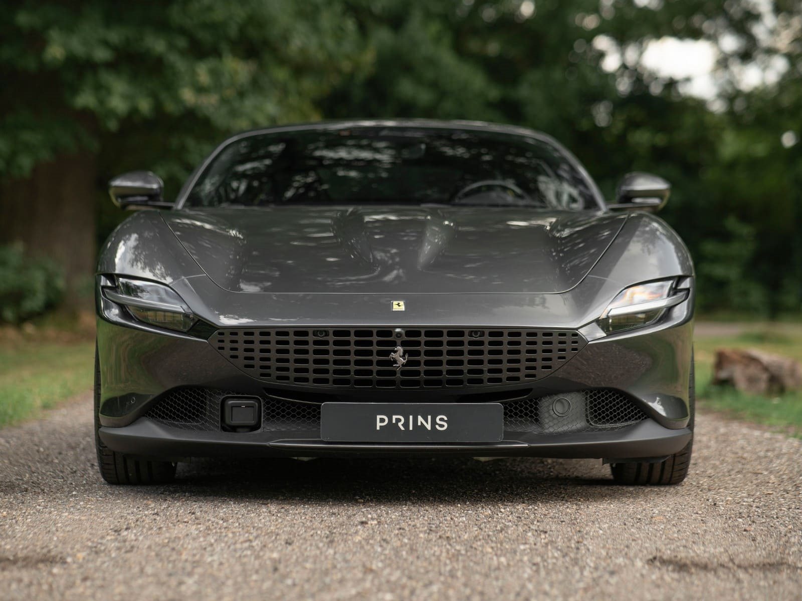 FERRARI ROMA GRIGIO SILVERSTONE, foto 4