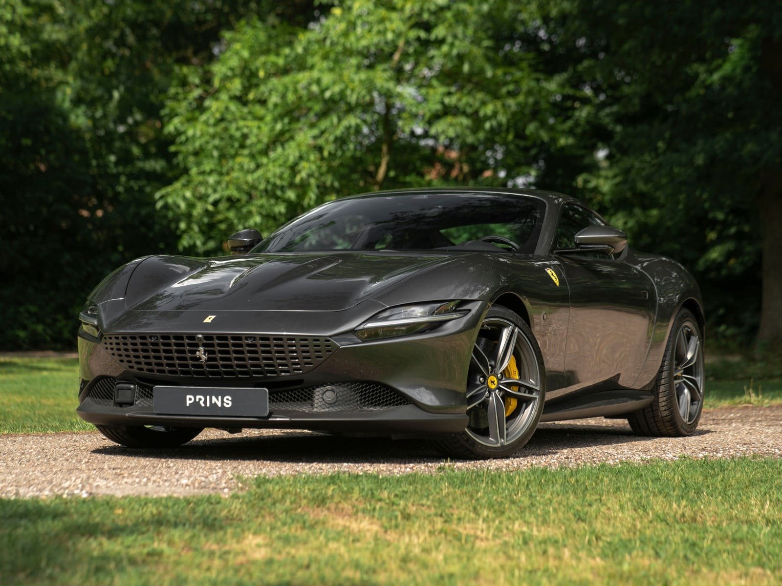 FERRARI ROMA GRIGIO SILVERSTONE, foto 13