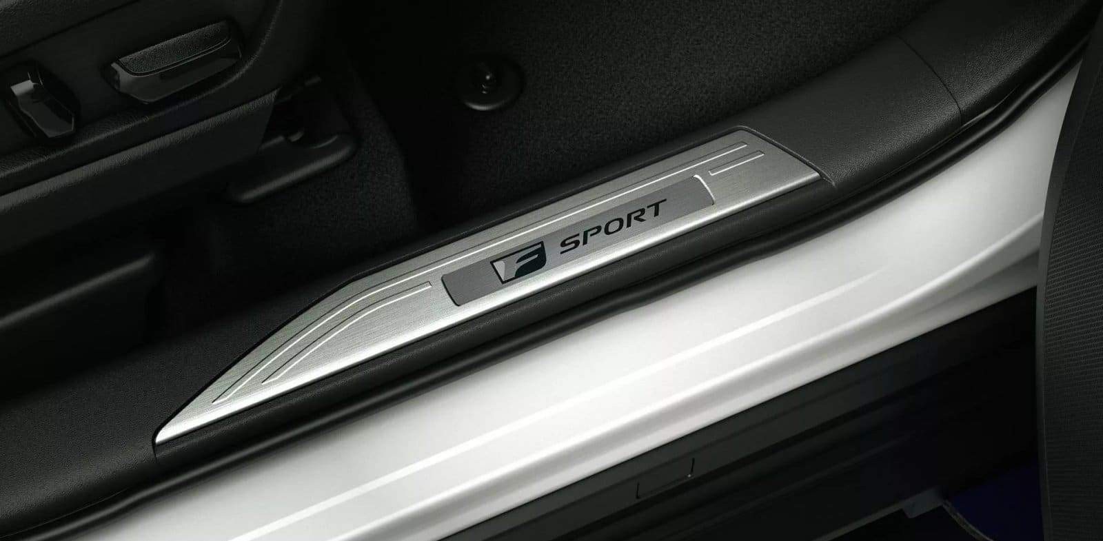 2024 - LEXUS RZ 450e F SPORT PERFORMANCE, foto 11