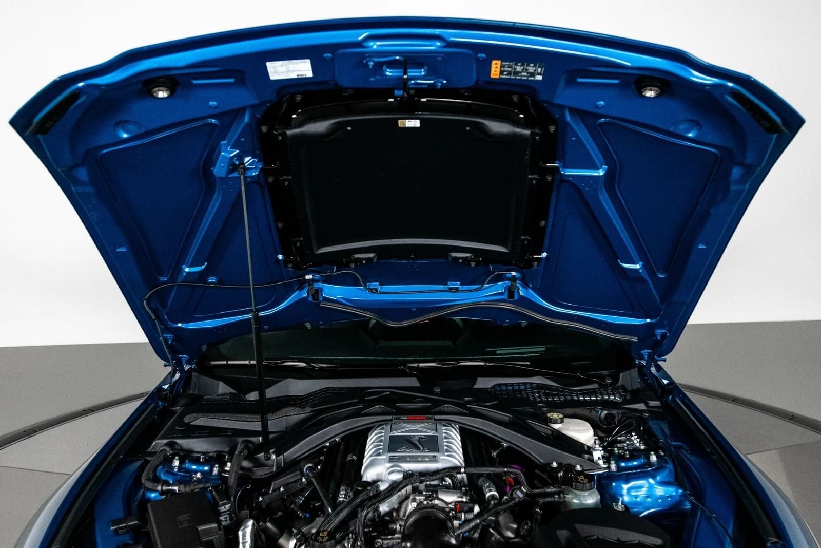 2020 - FORD MUSTANG SHELBY GT500 FP BLUE, foto 24