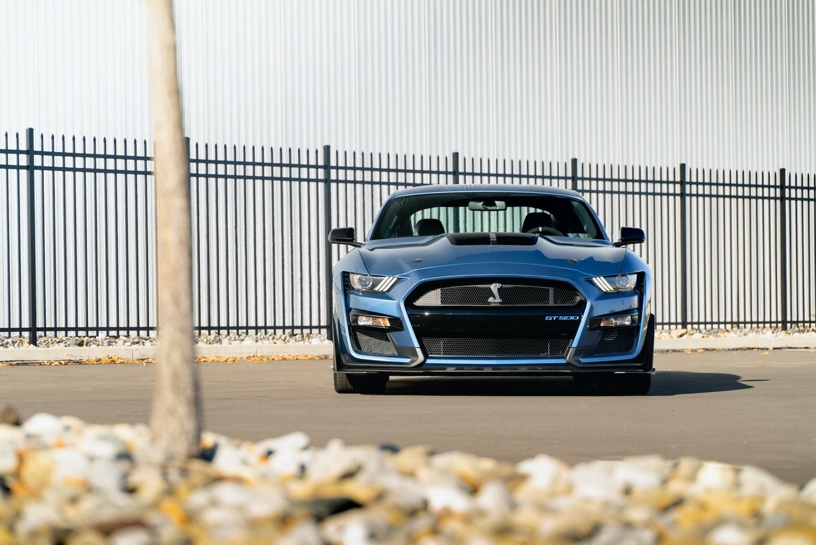 2020 - FORD MUSTANG SHELBY GT500 FP BLUE, foto 50