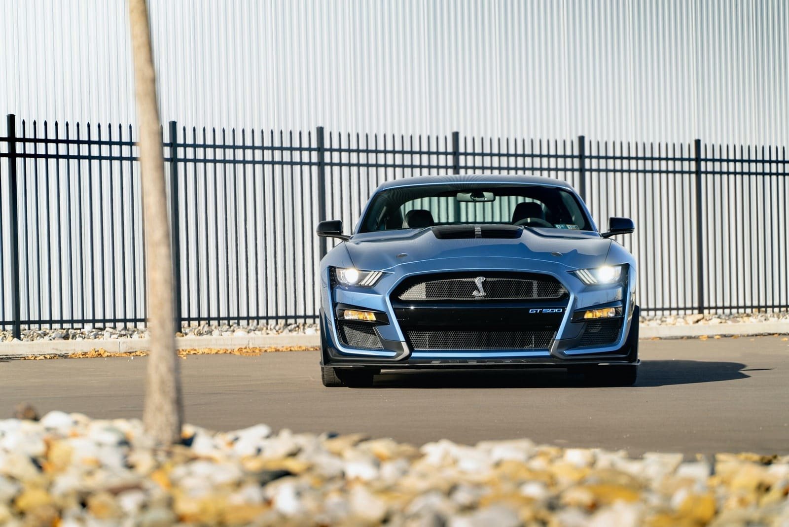 2020 - FORD MUSTANG SHELBY GT500 FP BLUE, foto 52