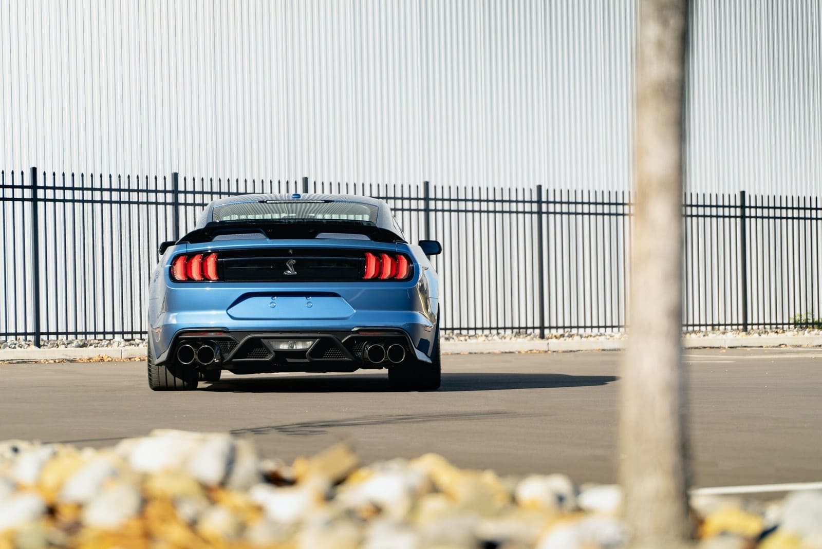 2020 - FORD MUSTANG SHELBY GT500 FP BLUE, foto 70