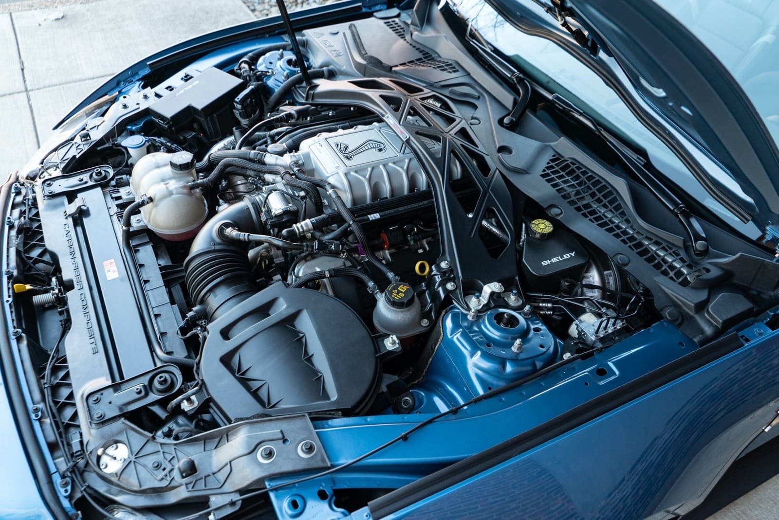 2020 - FORD MUSTANG SHELBY GT500 FP BLUE, foto 103