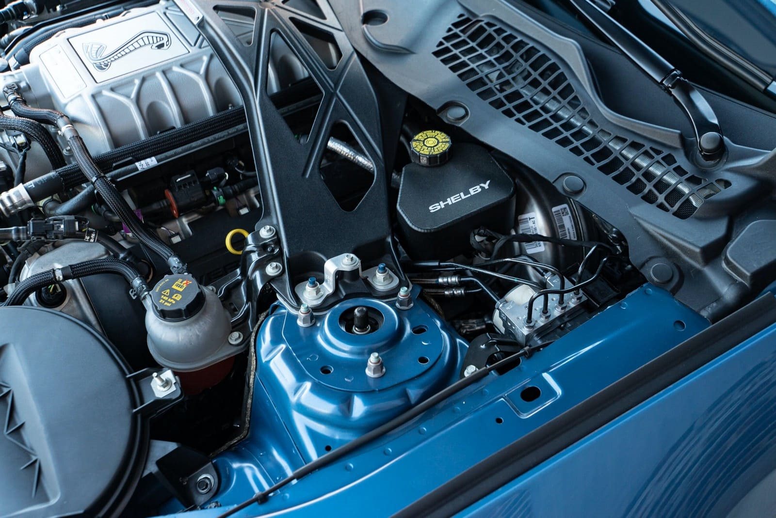 2020 - FORD MUSTANG SHELBY GT500 FP BLUE, foto 104