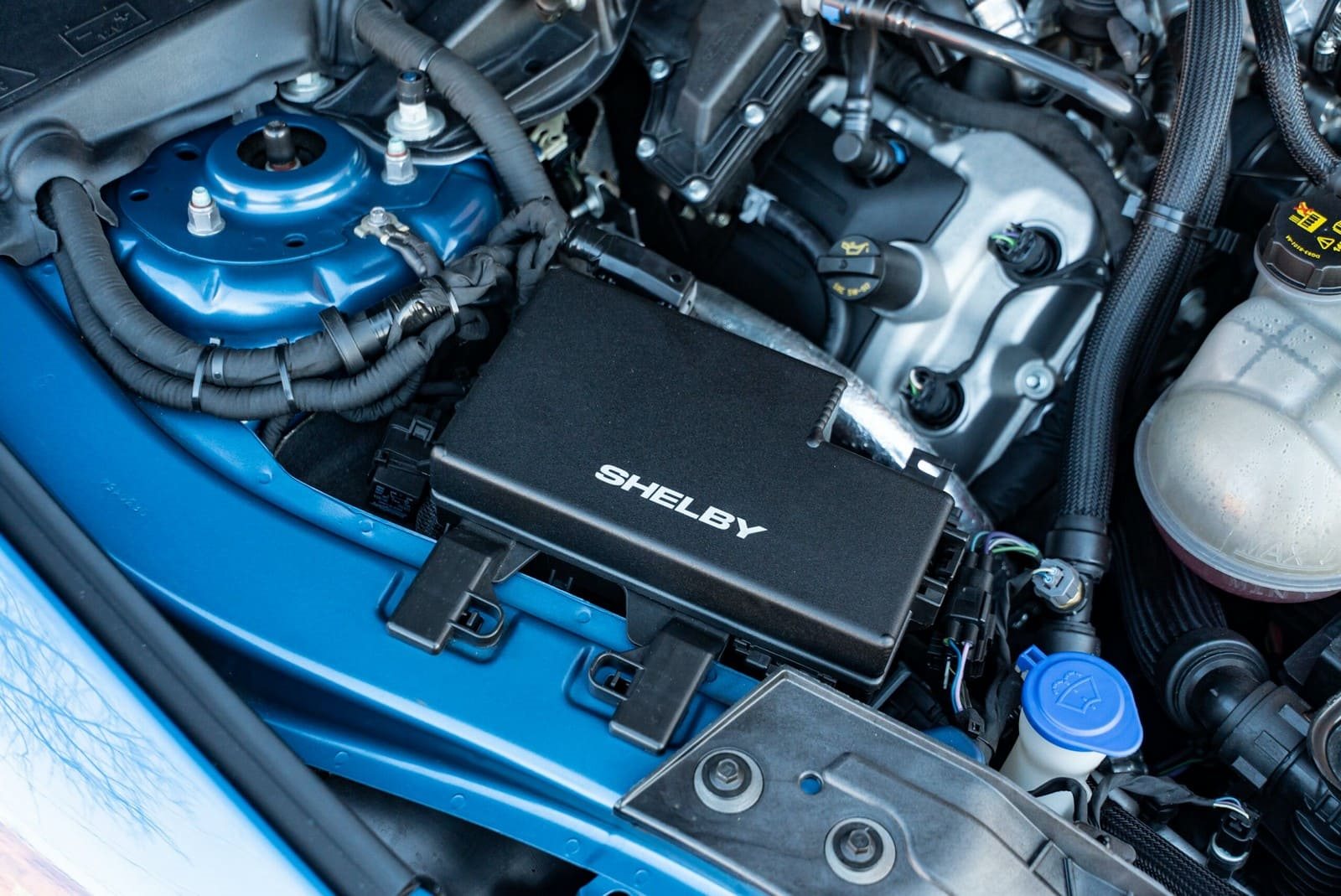 2020 - FORD MUSTANG SHELBY GT500 FP BLUE, foto 116