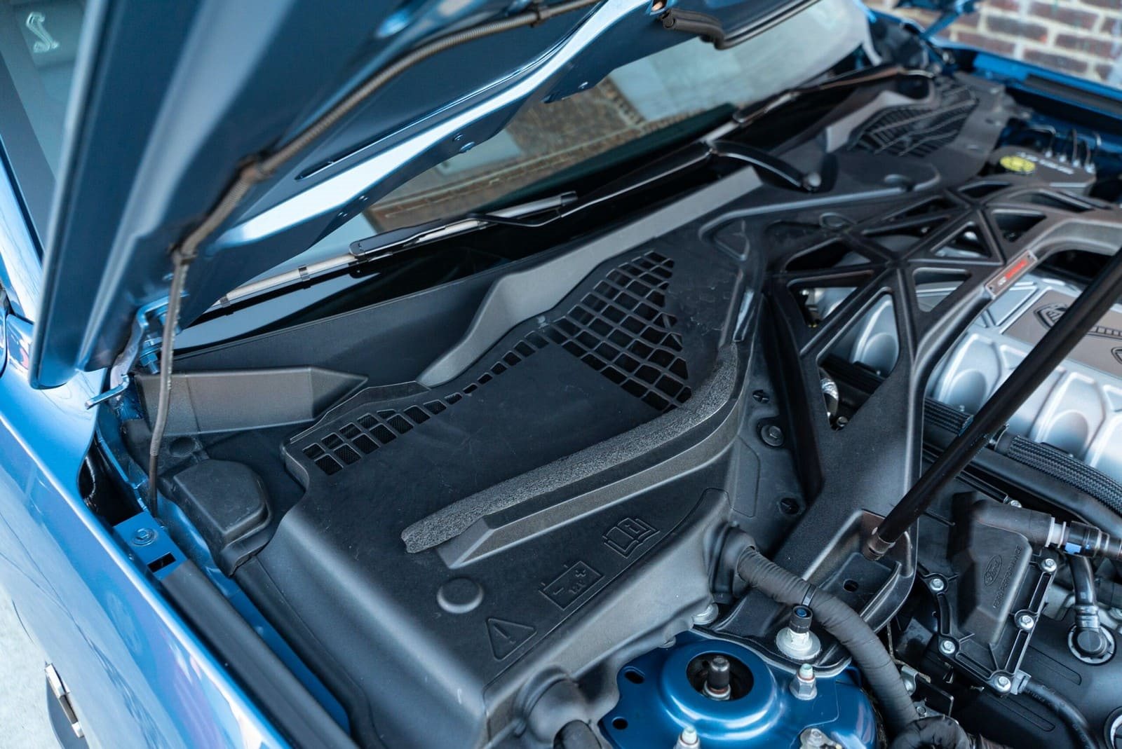 2020 - FORD MUSTANG SHELBY GT500 FP BLUE, foto 121